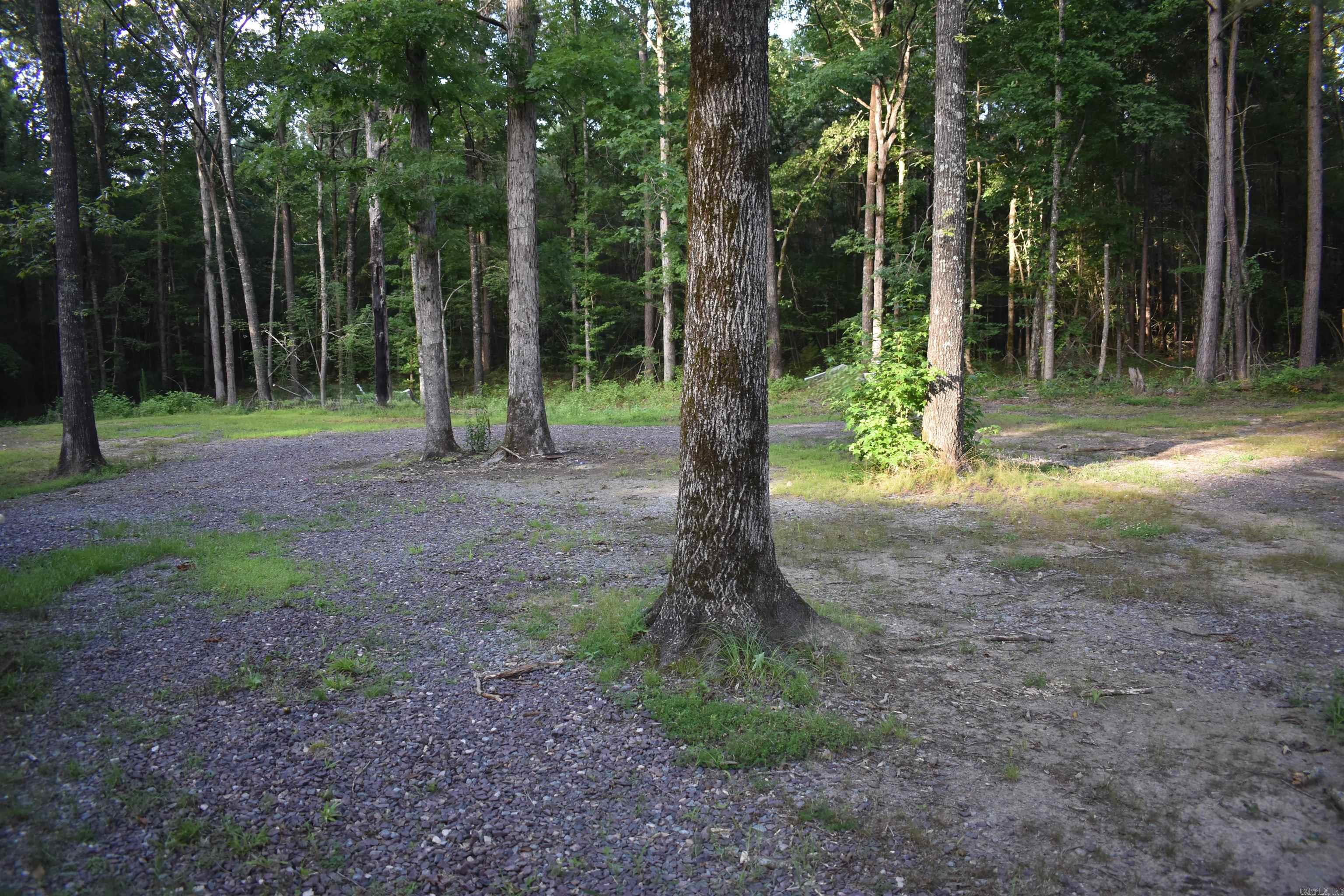 2905 Beechnut  Pine Bluff, AR