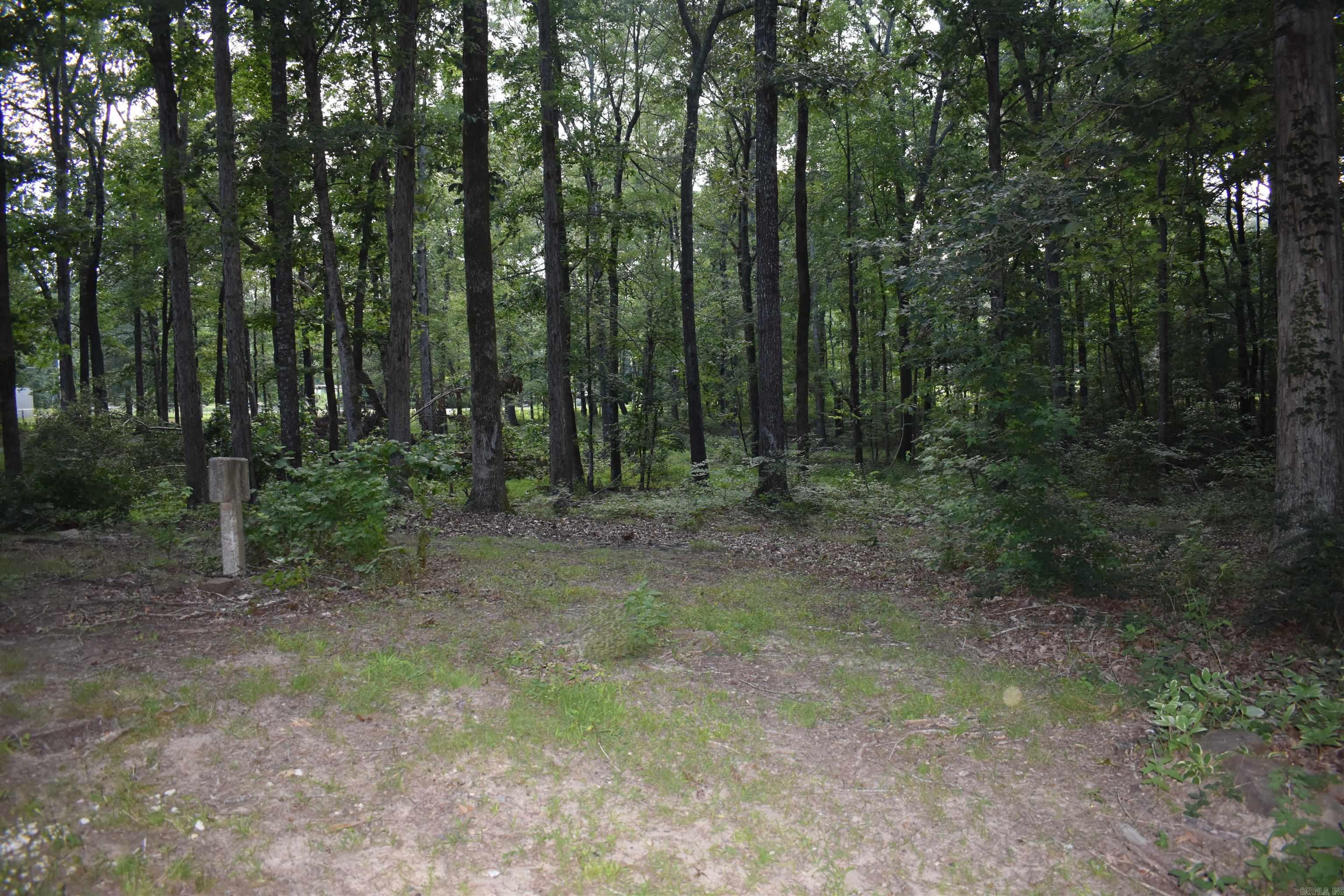 2905 Beechnut  Pine Bluff, AR