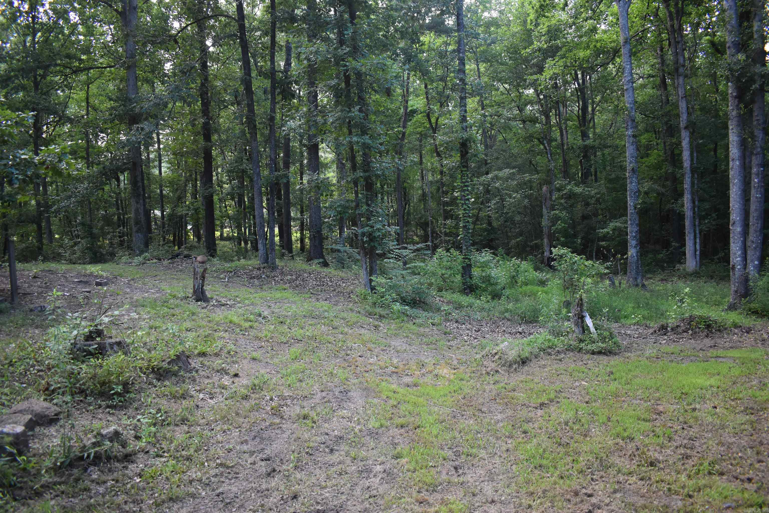 2905 Beechnut  Pine Bluff, AR