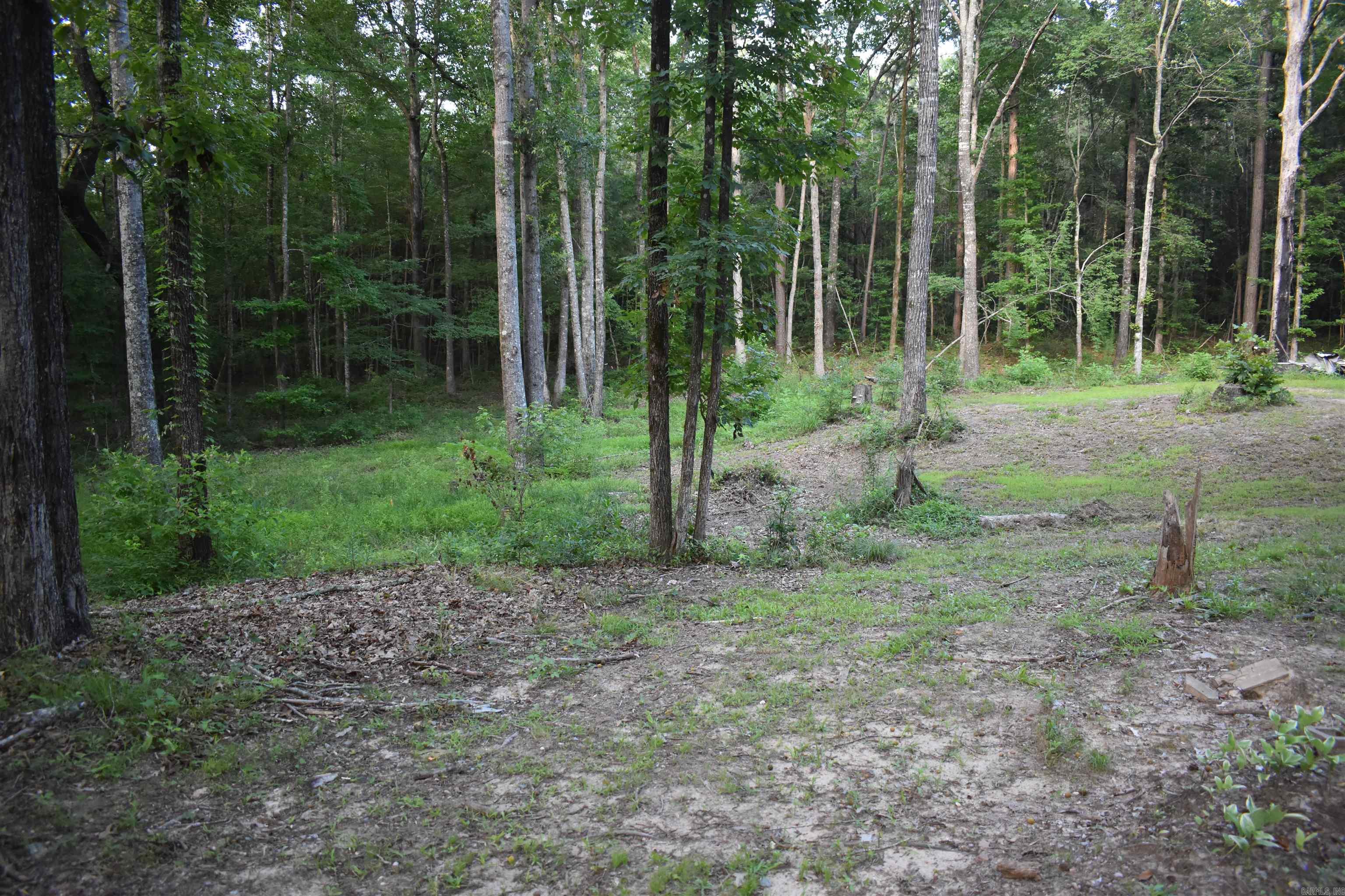 2905 Beechnut  Pine Bluff, AR