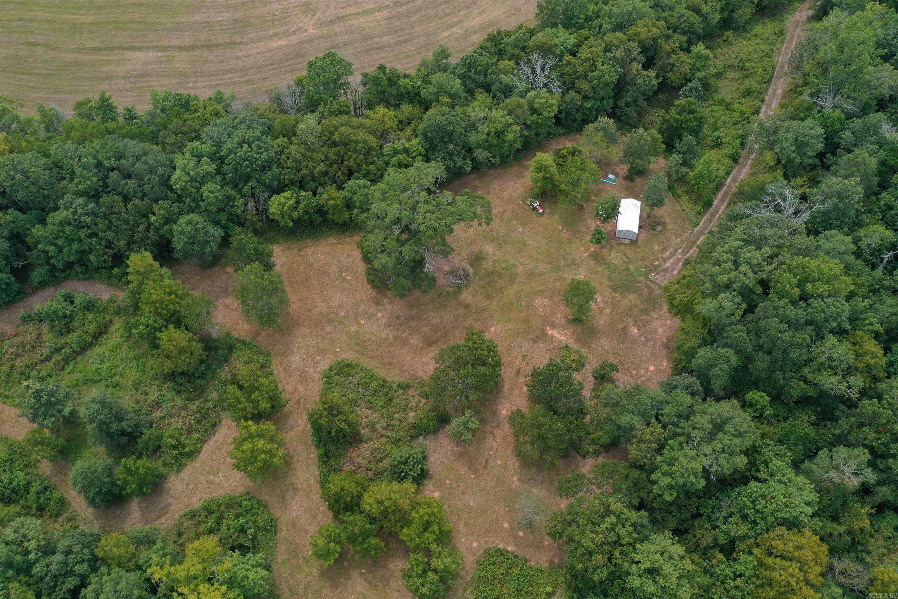 36 Missy Ridge  Oden, AR