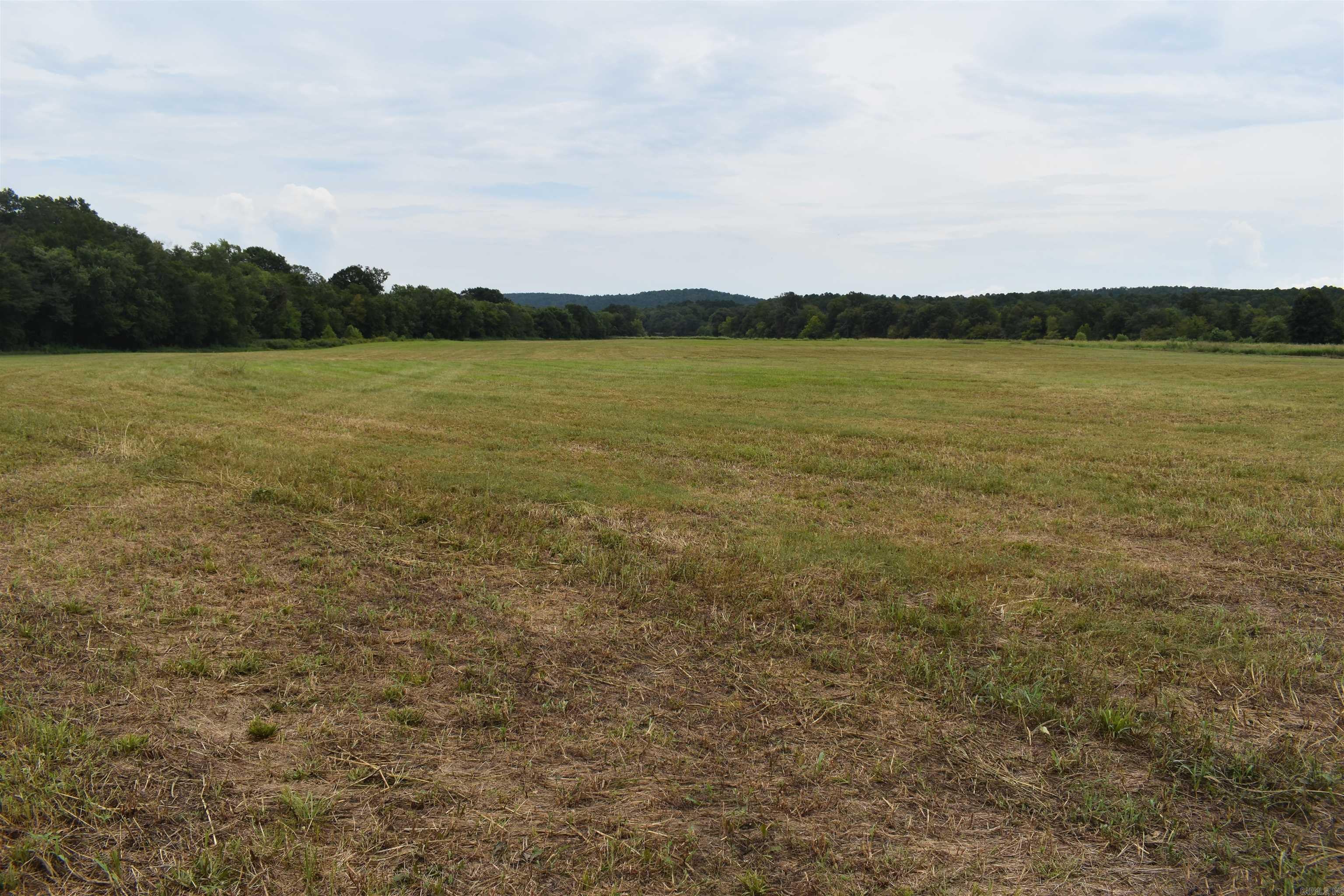 36 Missy Ridge  Oden, AR