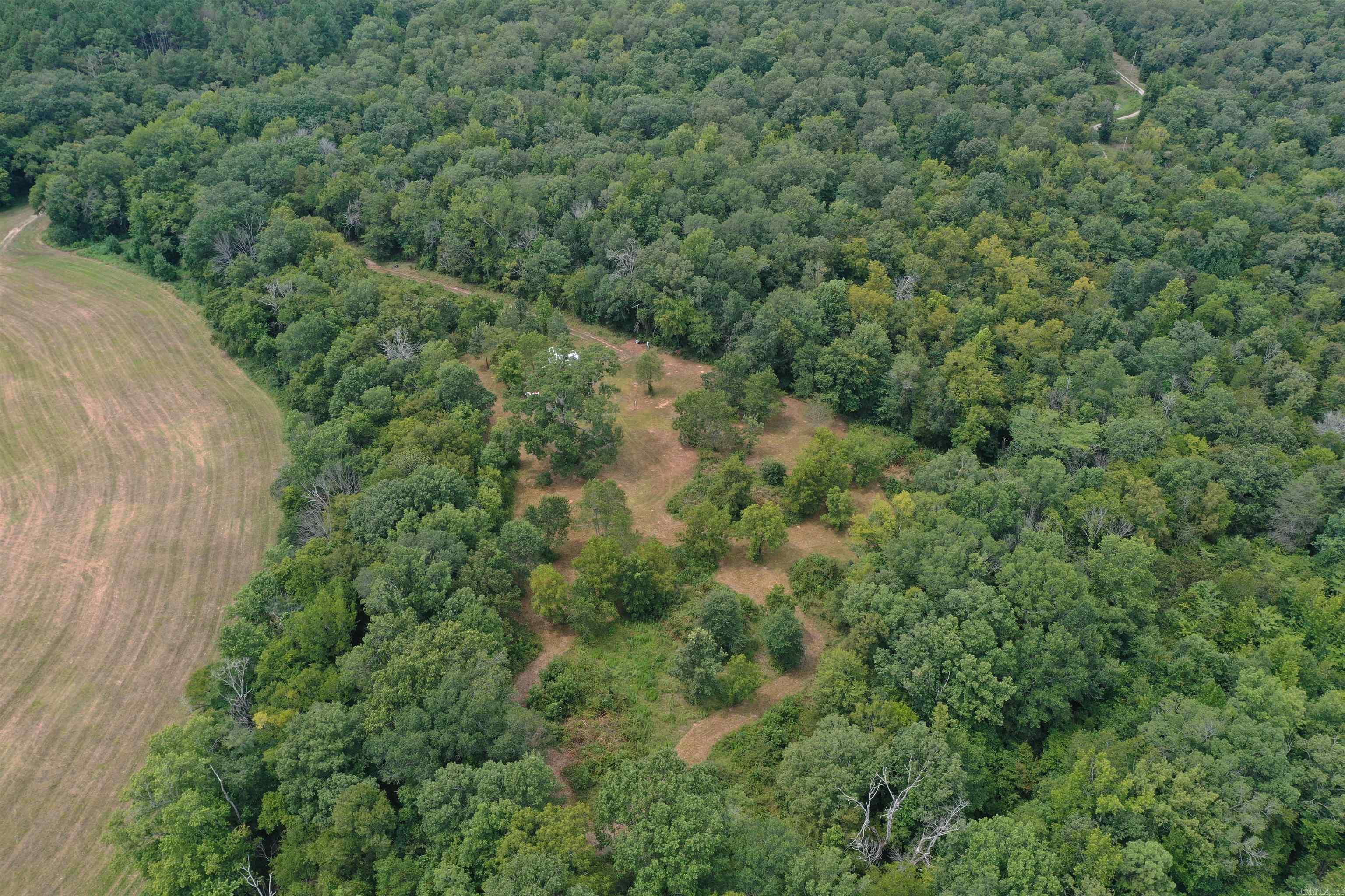 36 Missy Ridge  Oden, AR