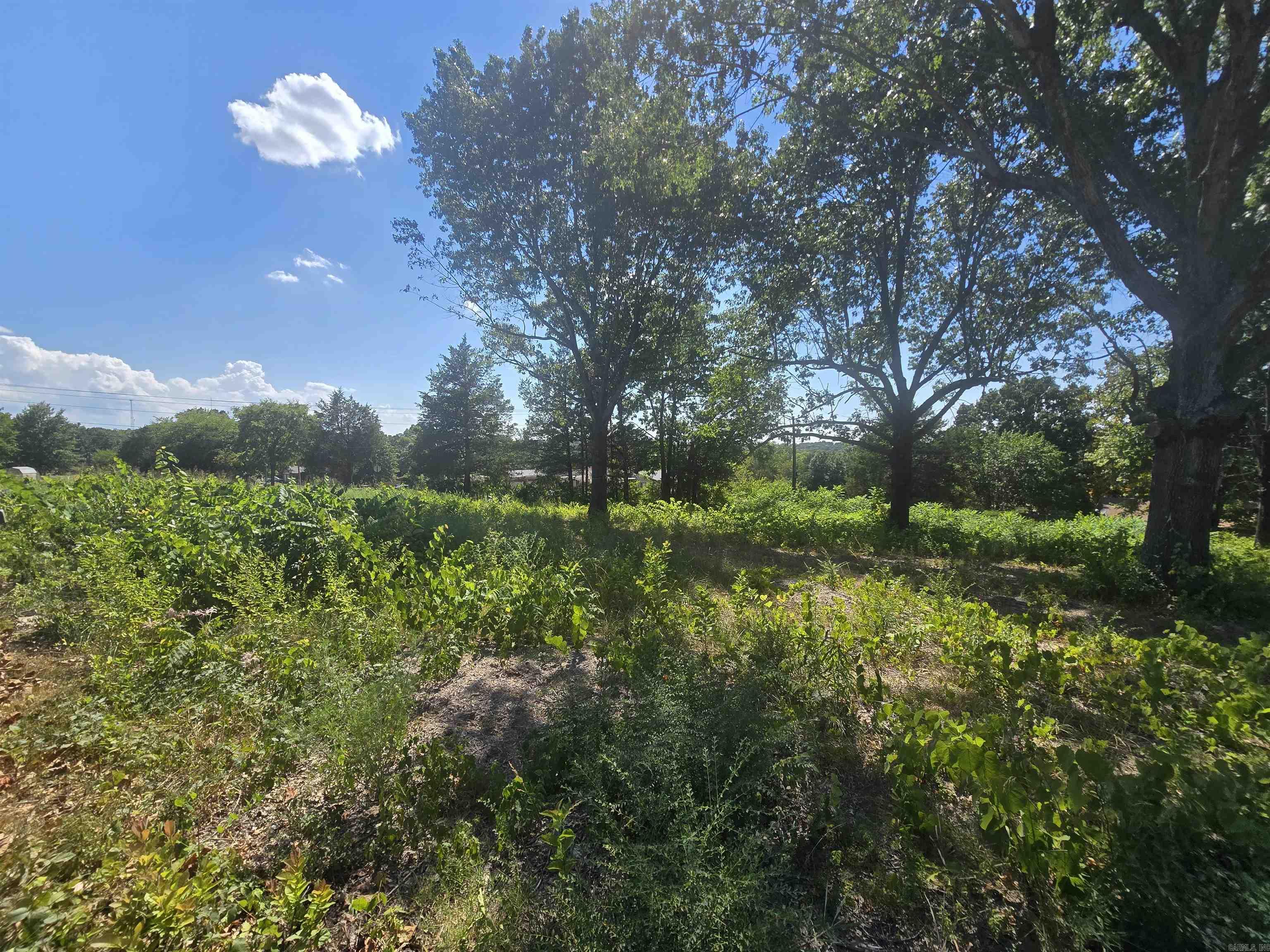 00 Debra Ann  Mountain Home, AR