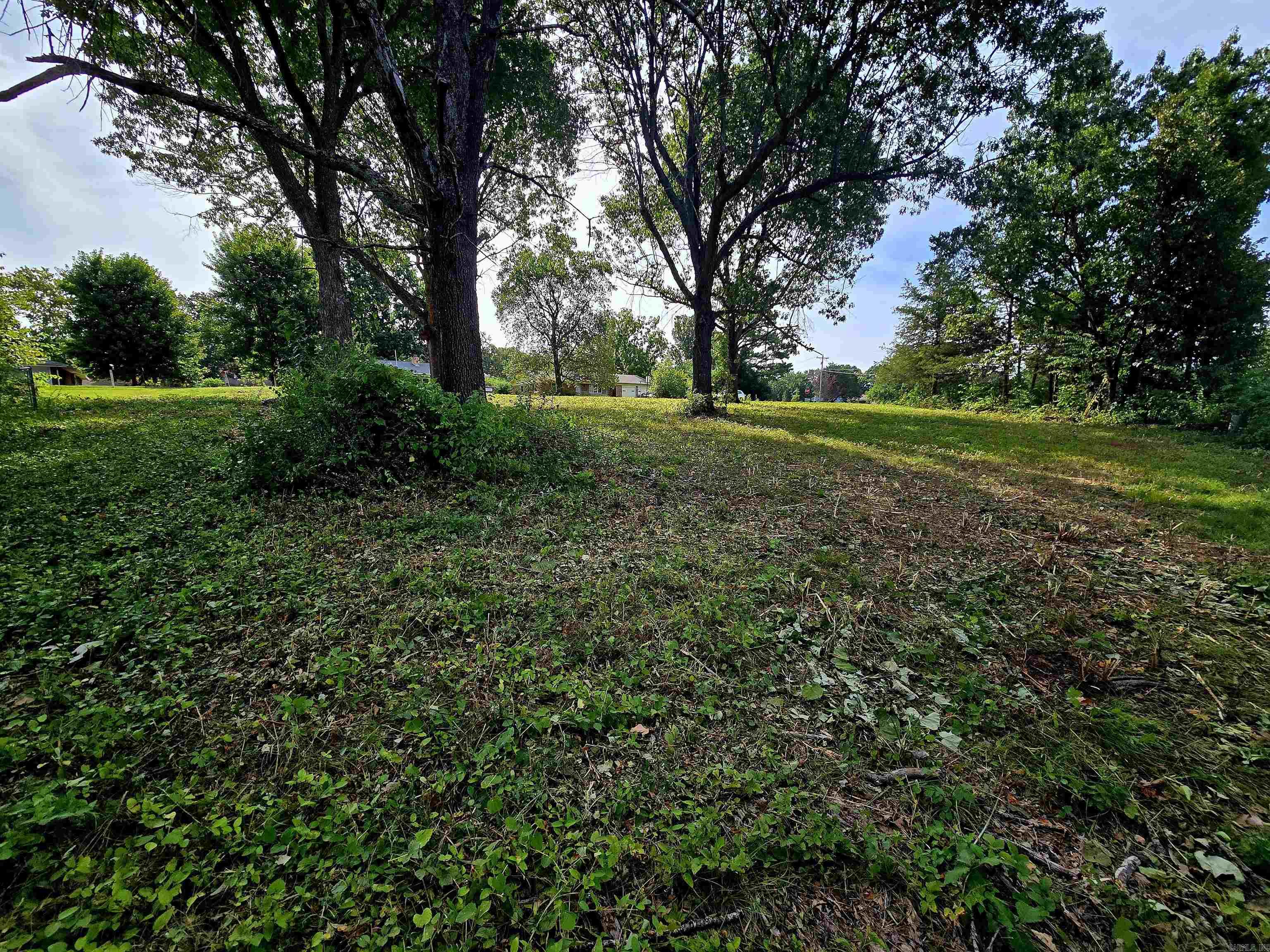 00 Debra Ann  Mountain Home, AR