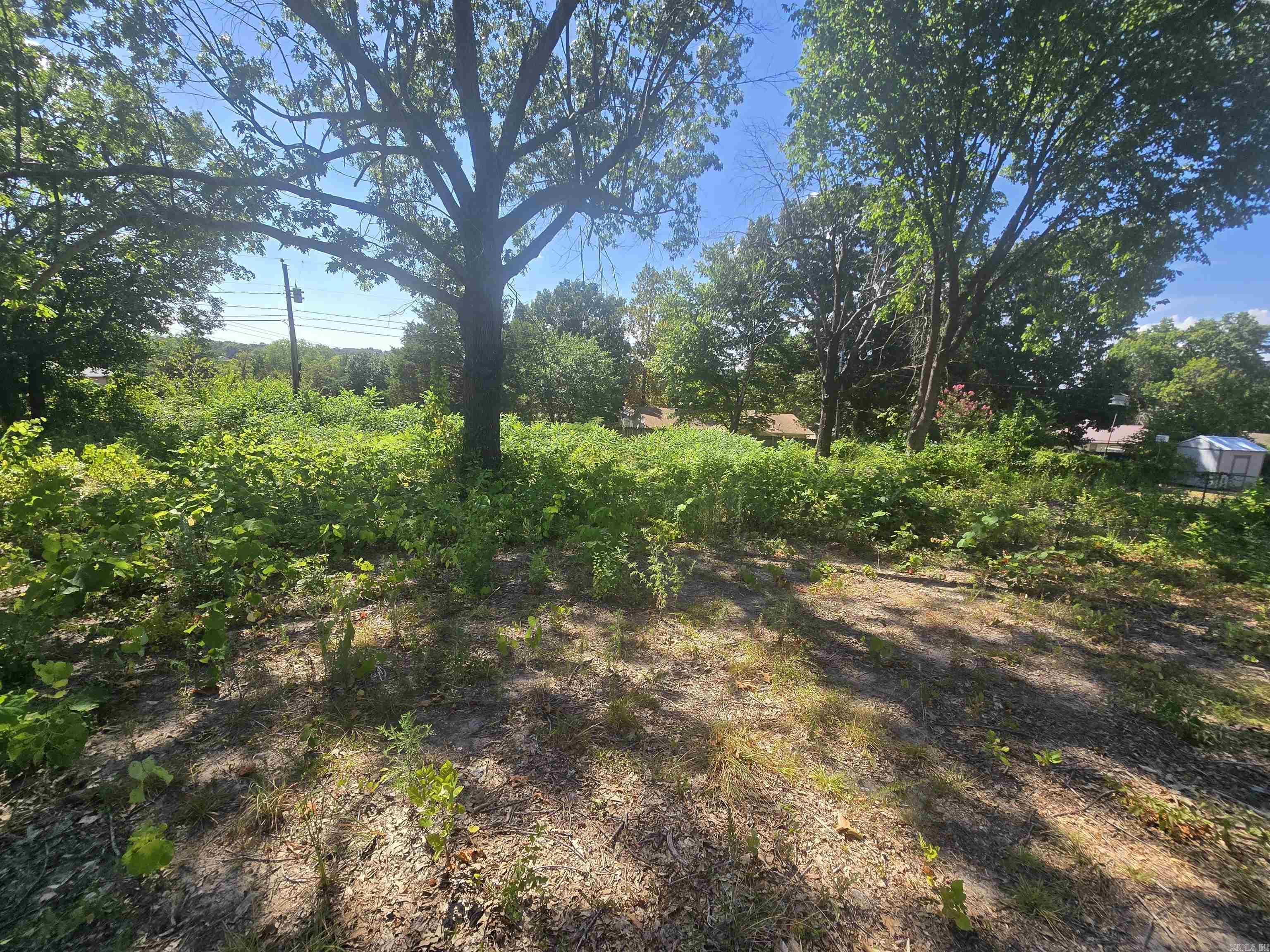 00 Debra Ann  Mountain Home, AR