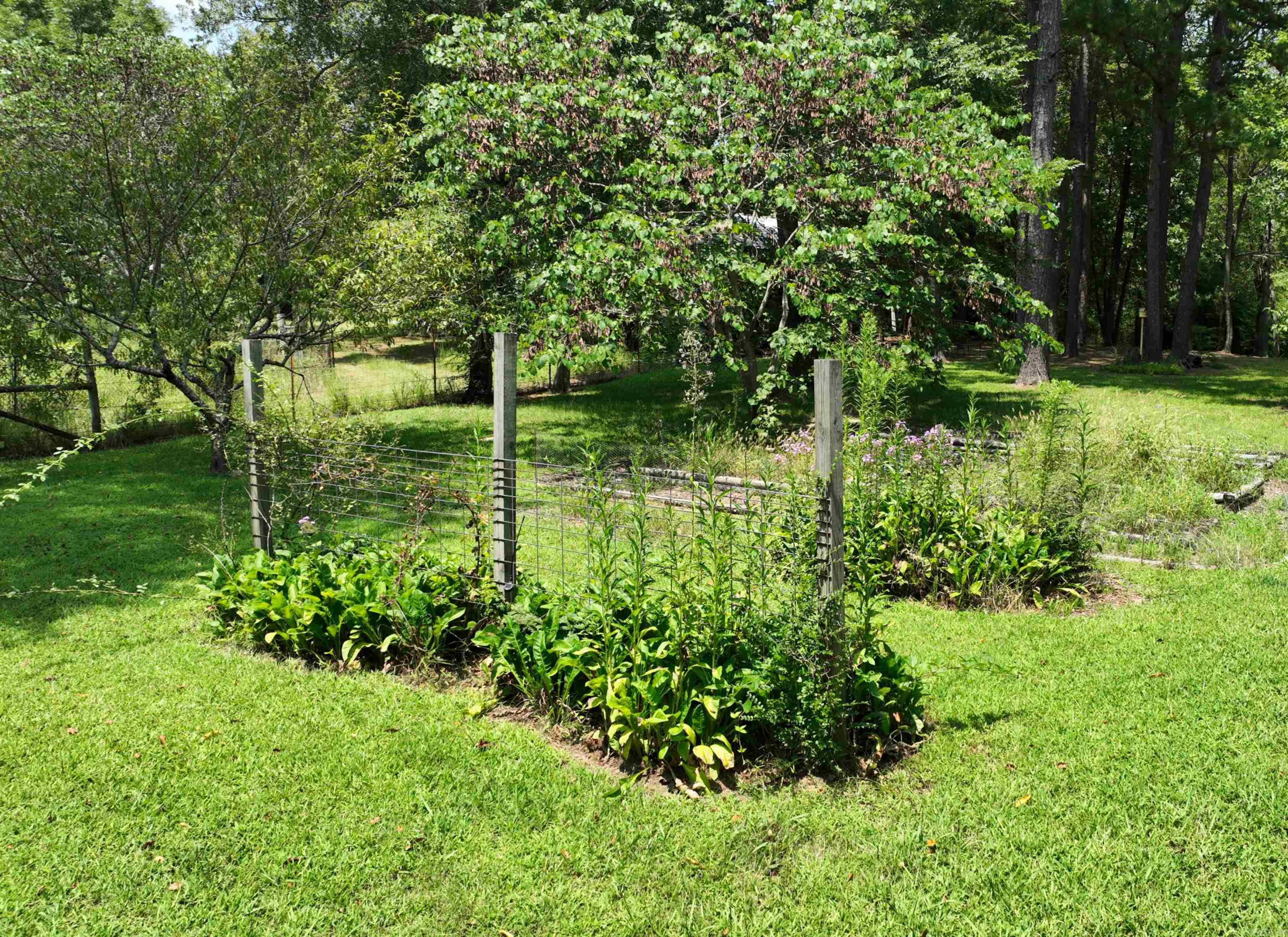 224 Polk Road 76 E Mena, AR 71953