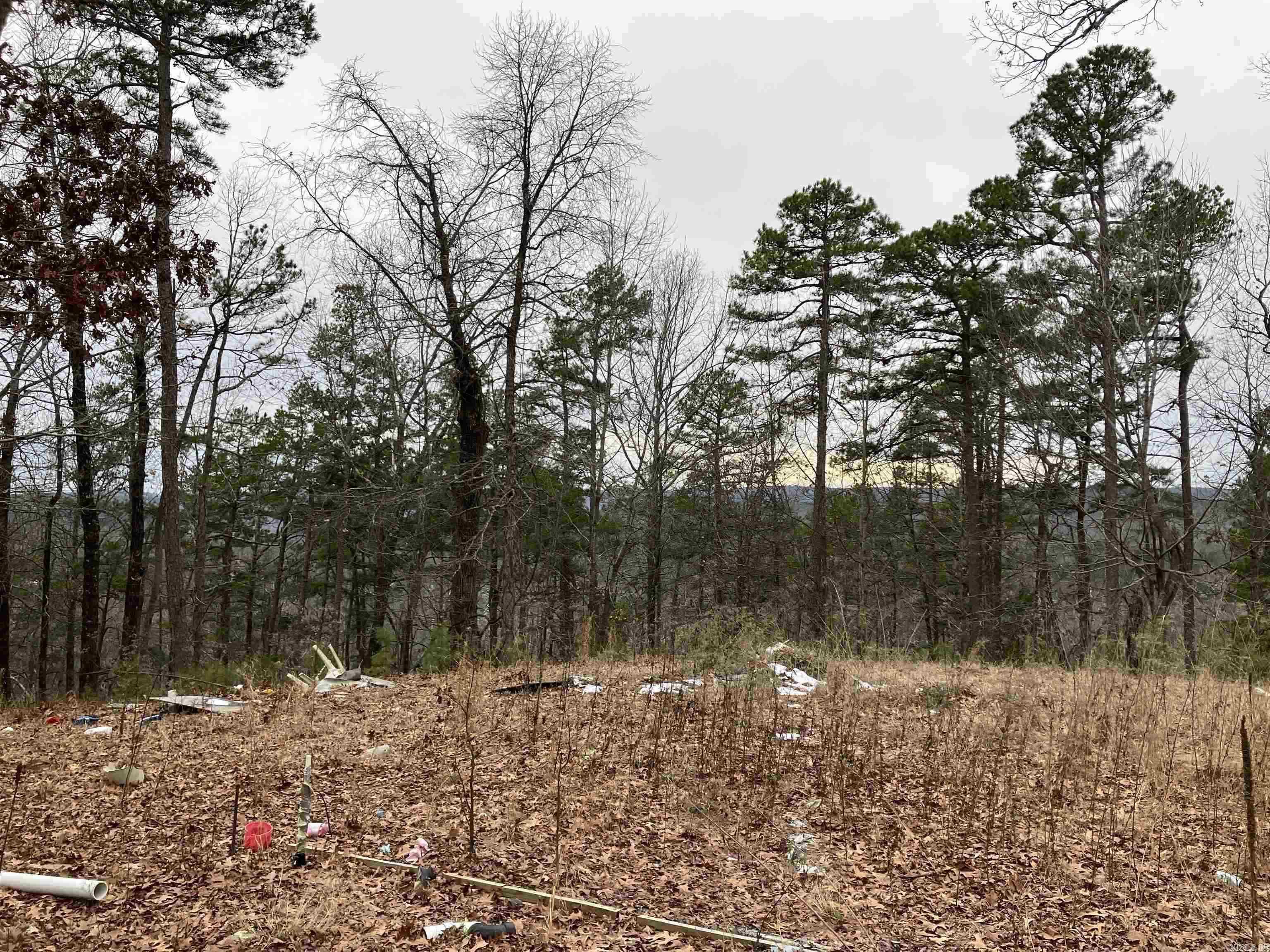 12329 W Highway 16  Clinton, AR