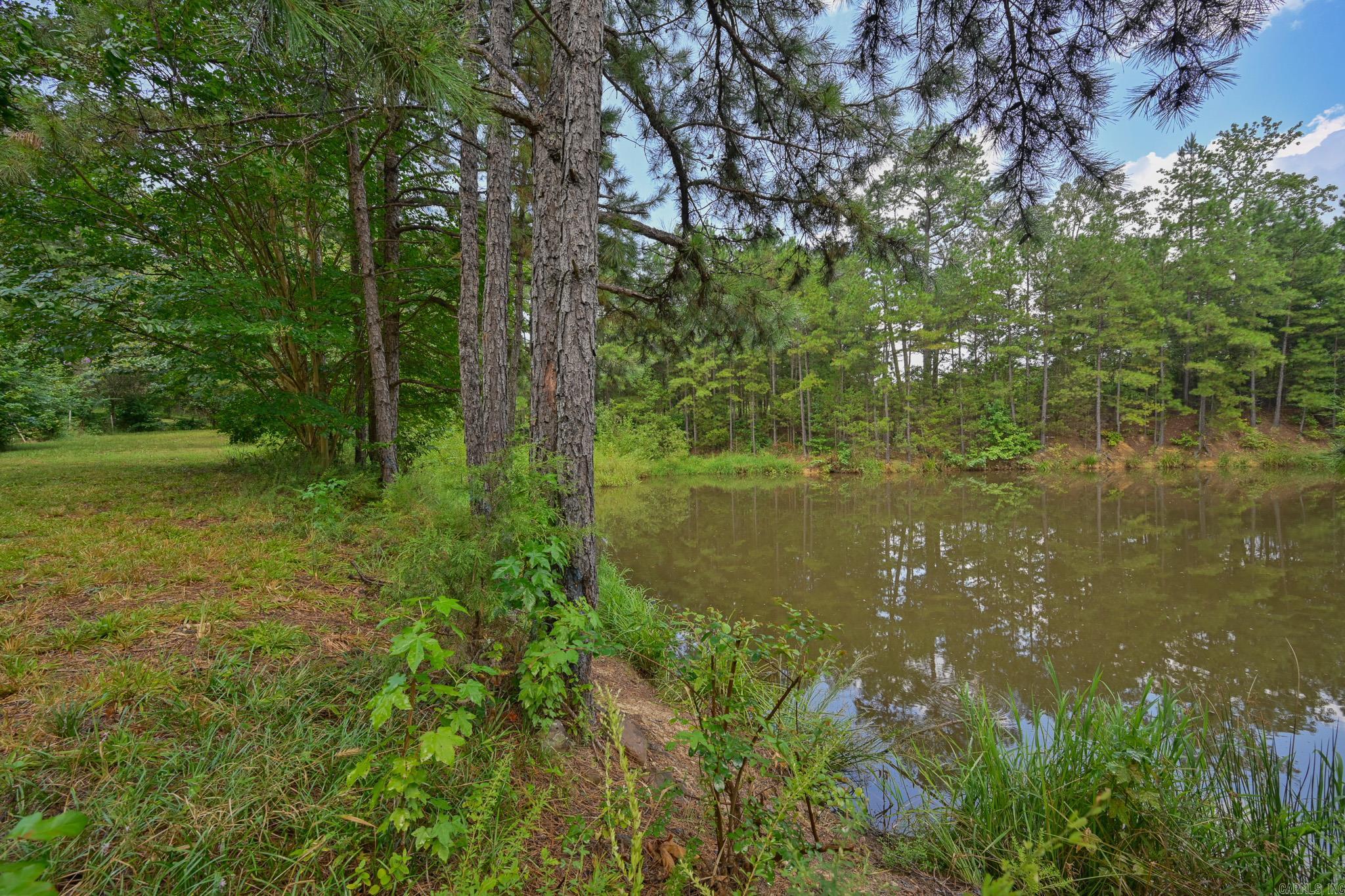 103 Pine Hollow Lane  Mena, AR