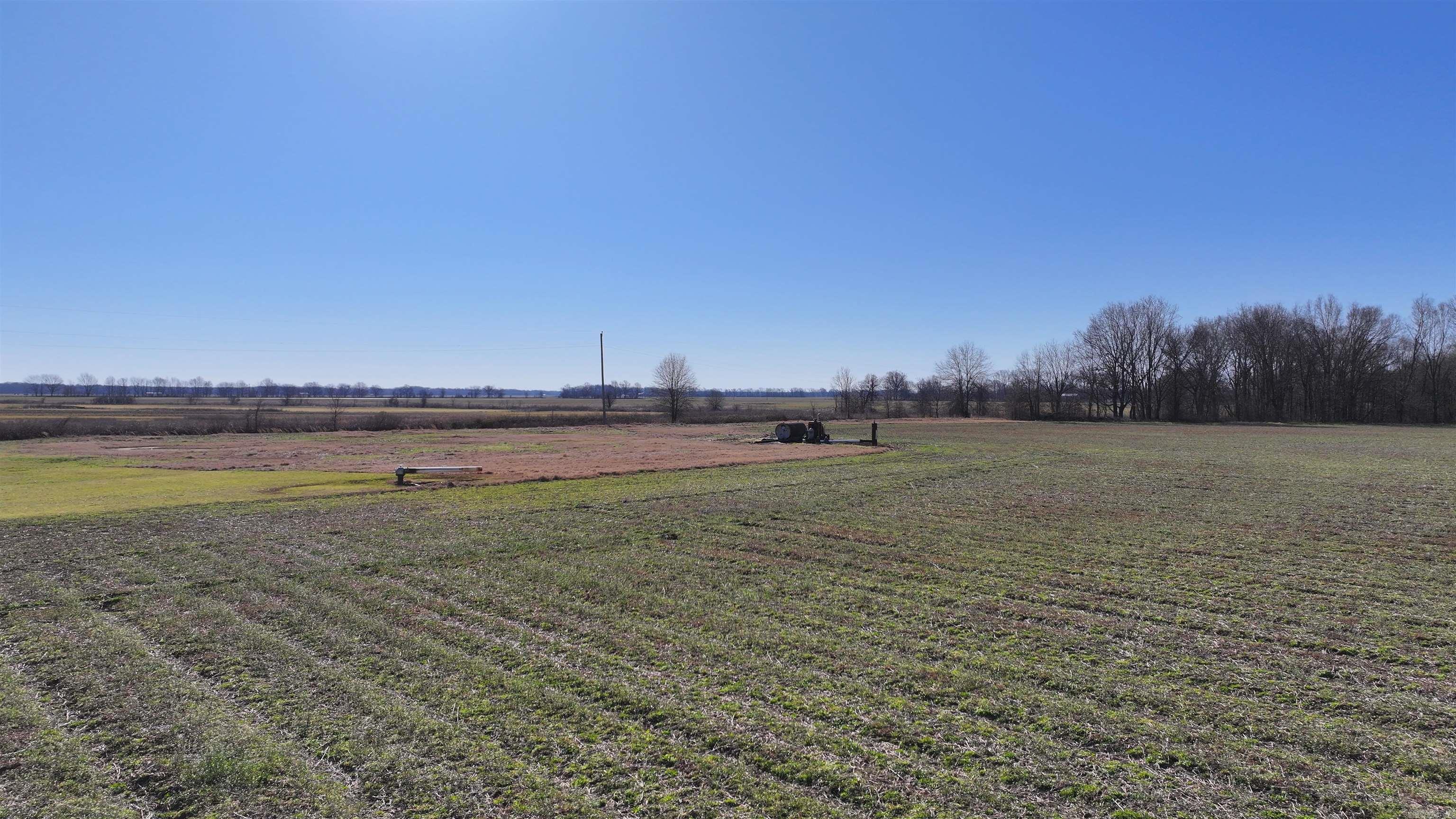 293 E Sidney Noble  DeWitt, AR
