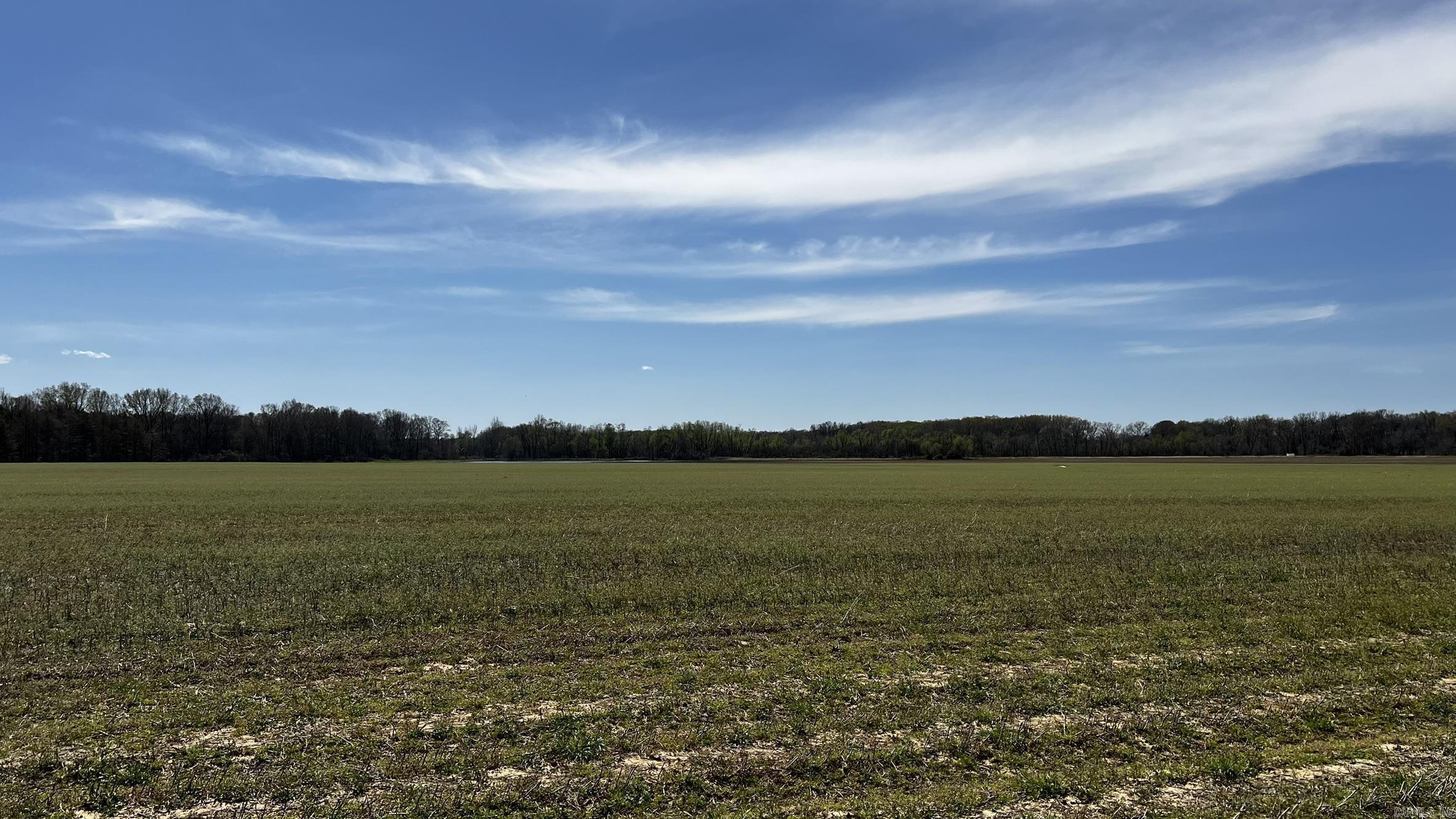 293 E Sidney Noble  DeWitt, AR