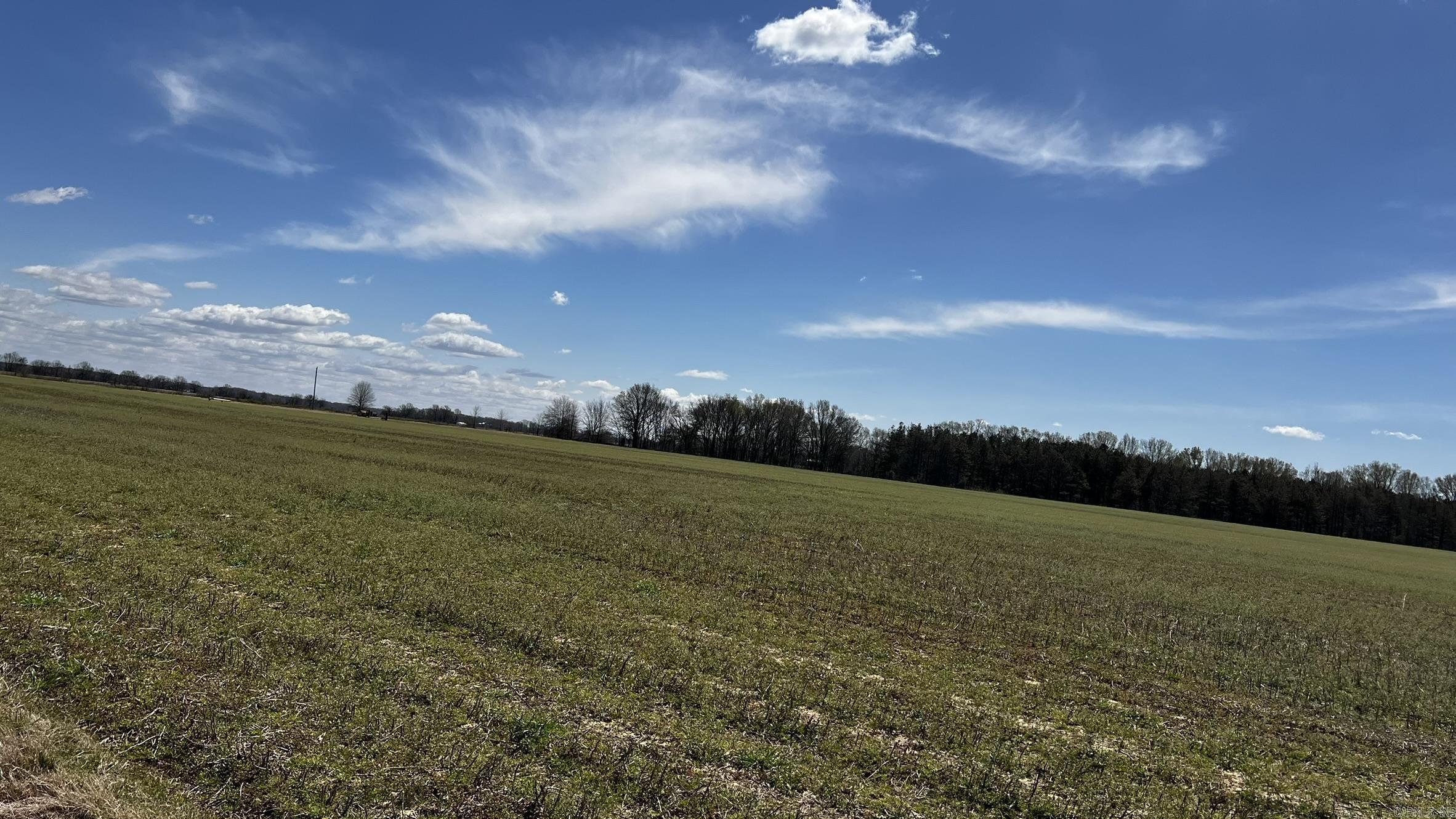293 E Sidney Noble  DeWitt, AR