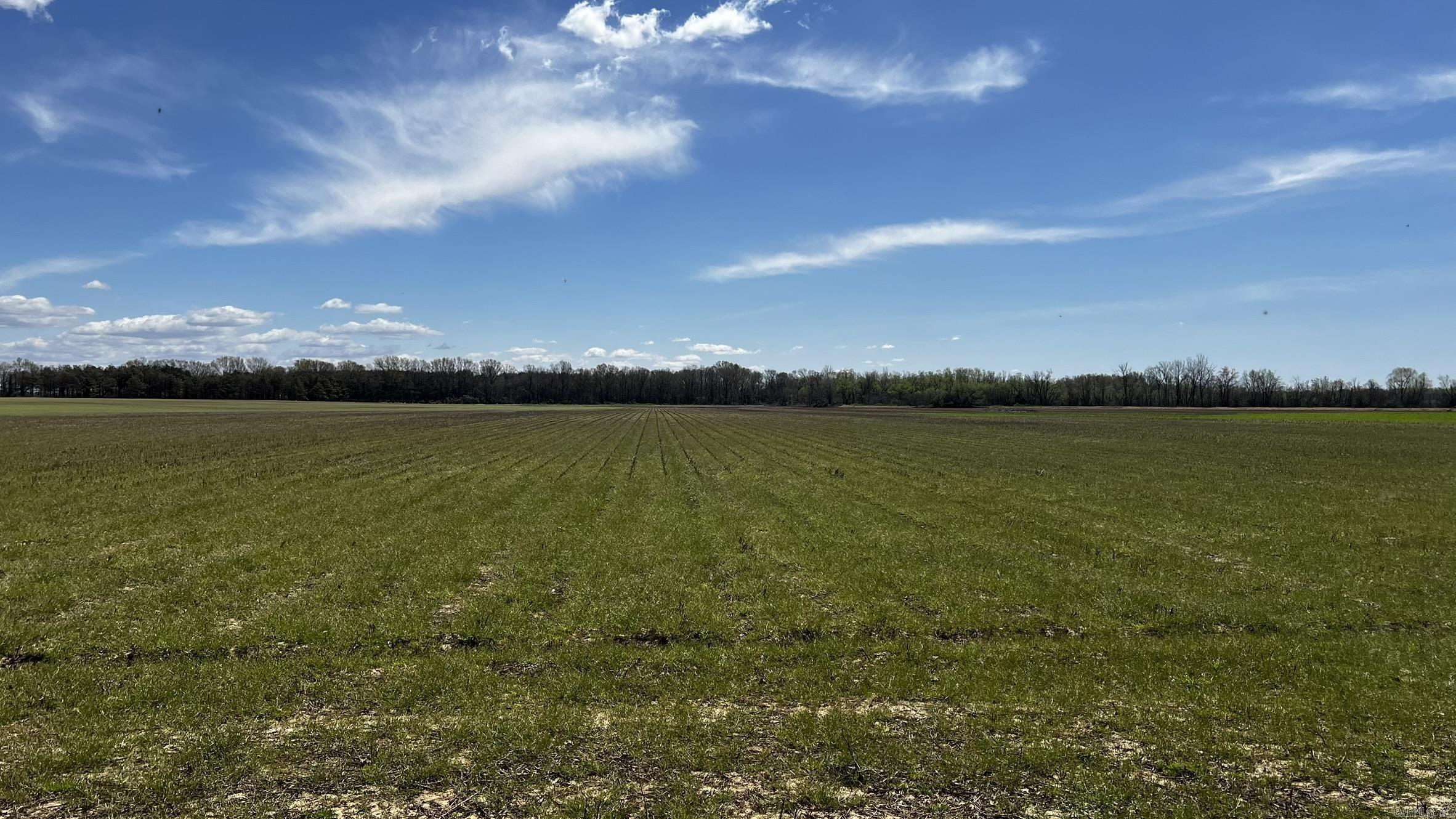 293 E Sidney Noble  DeWitt, AR