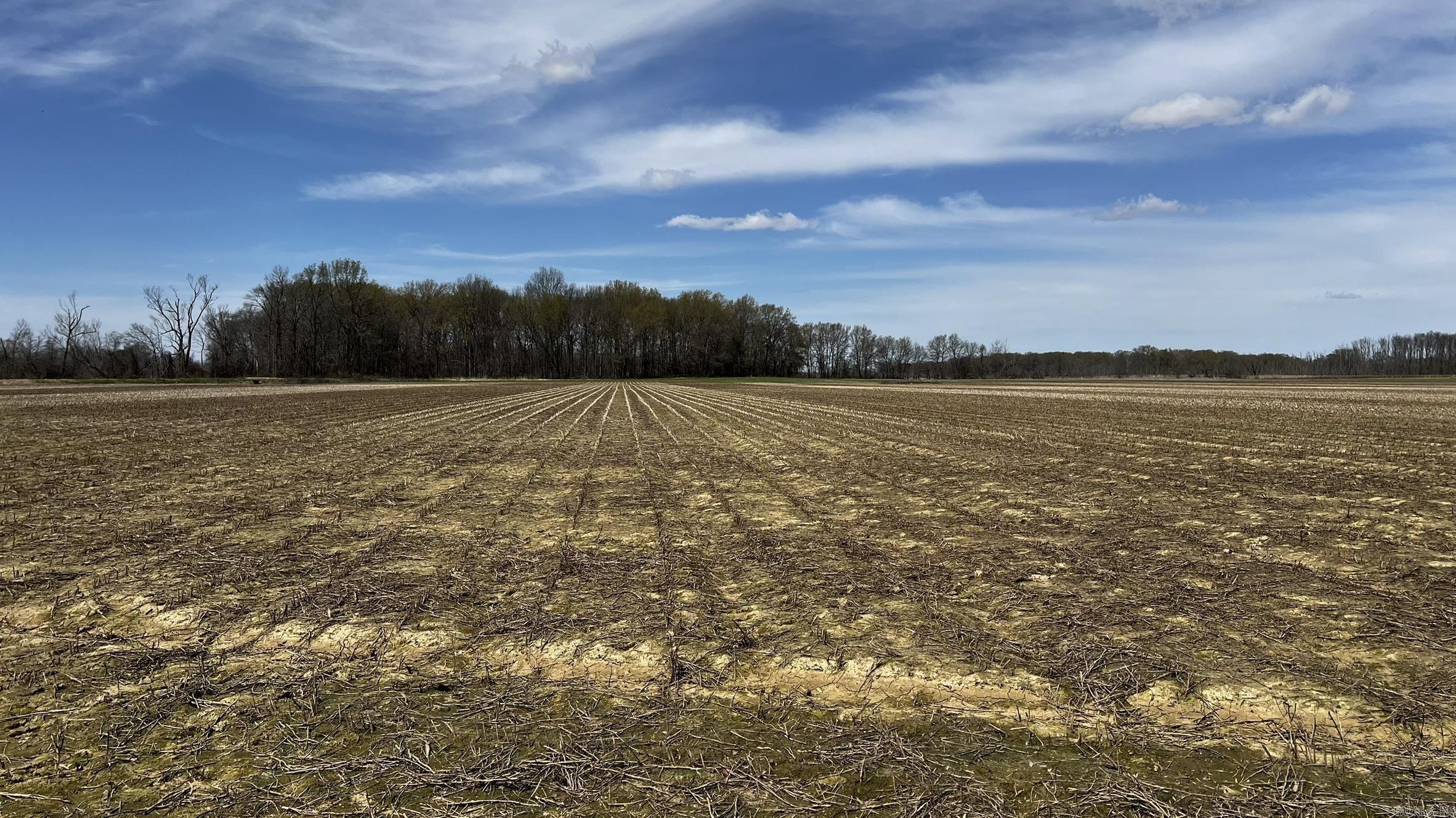 293 E Sidney Noble  DeWitt, AR