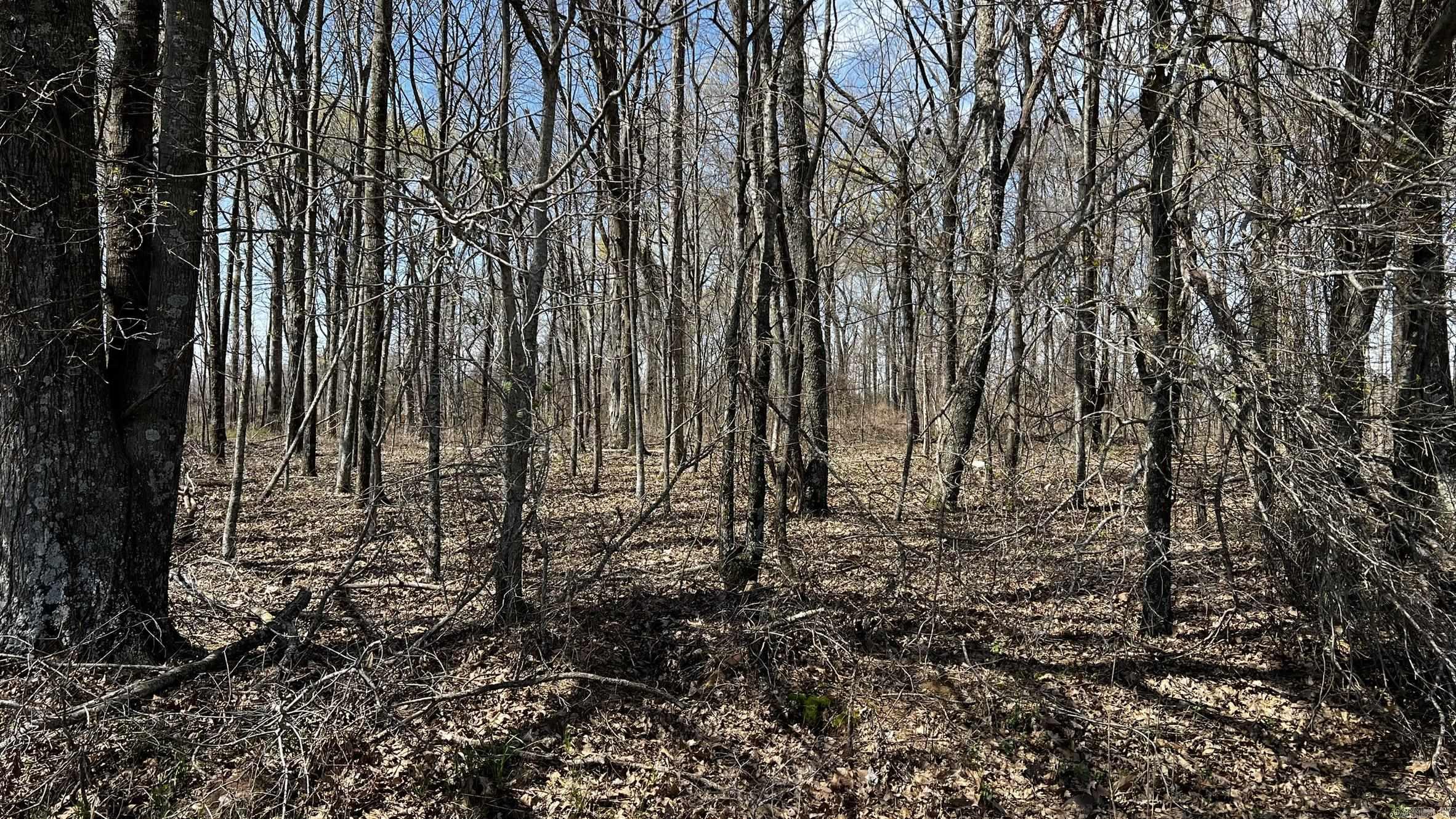 293 E Sidney Noble  DeWitt, AR