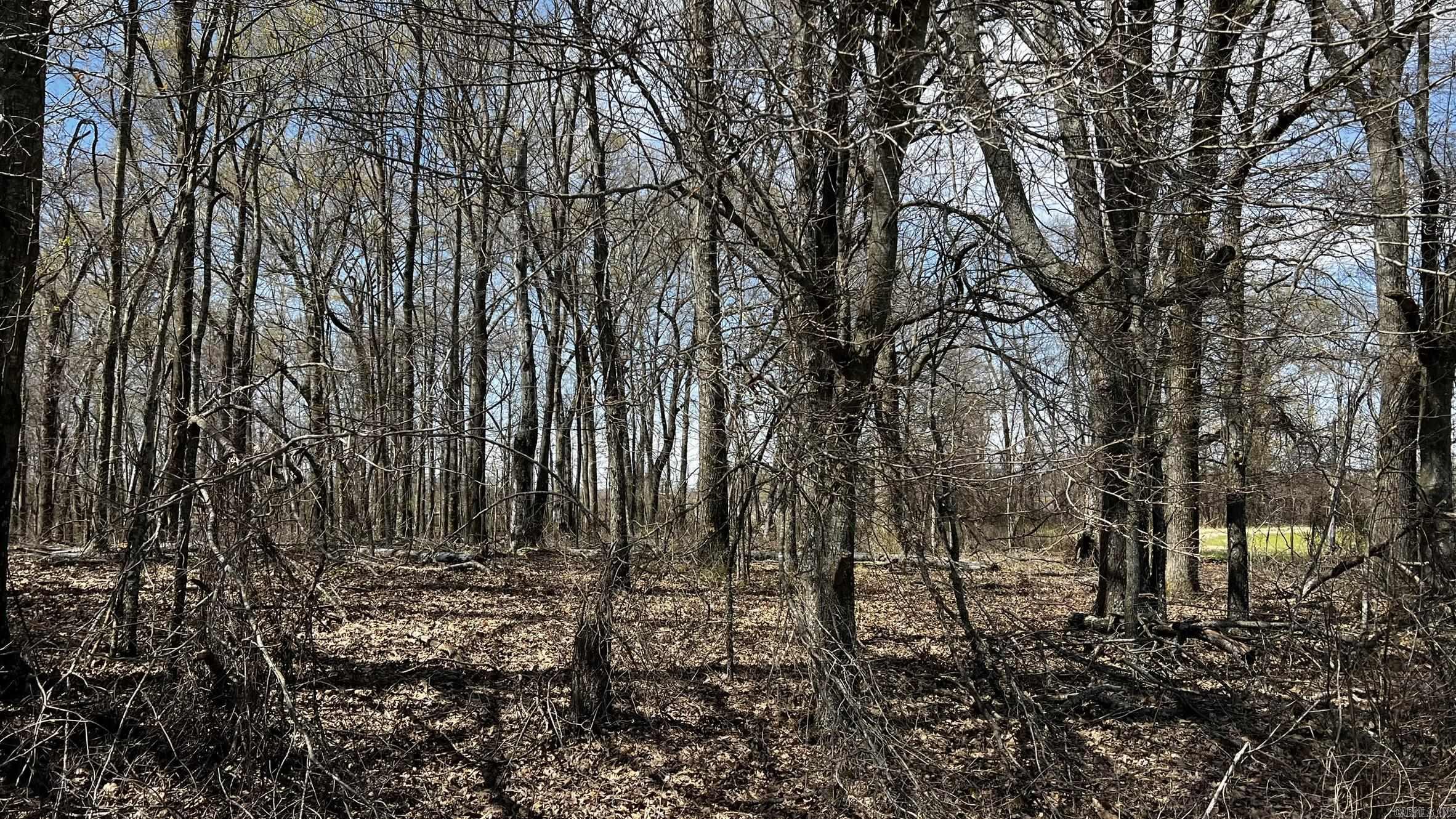 293 E Sidney Noble  DeWitt, AR