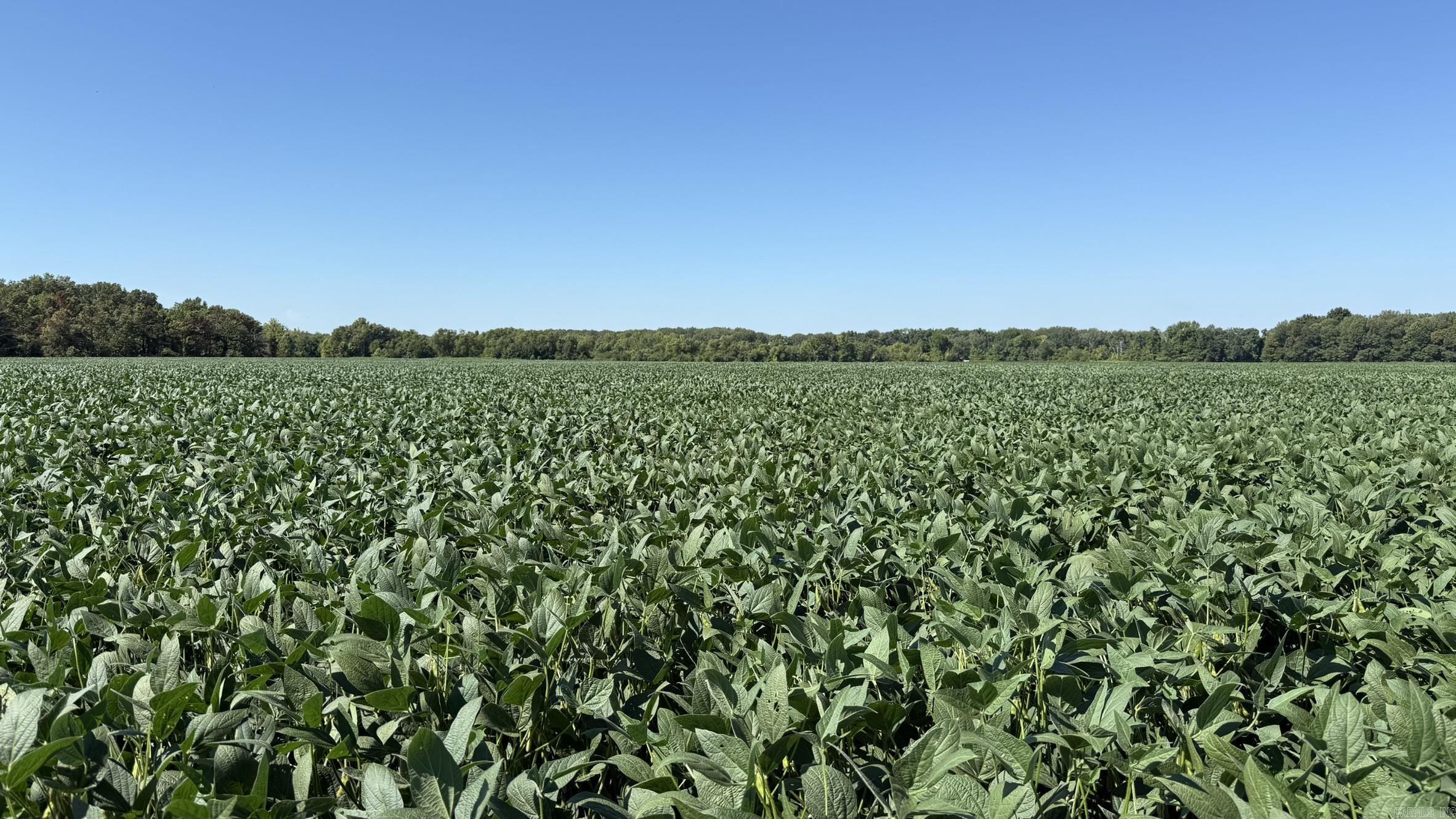 293 E Sidney Noble  DeWitt, AR