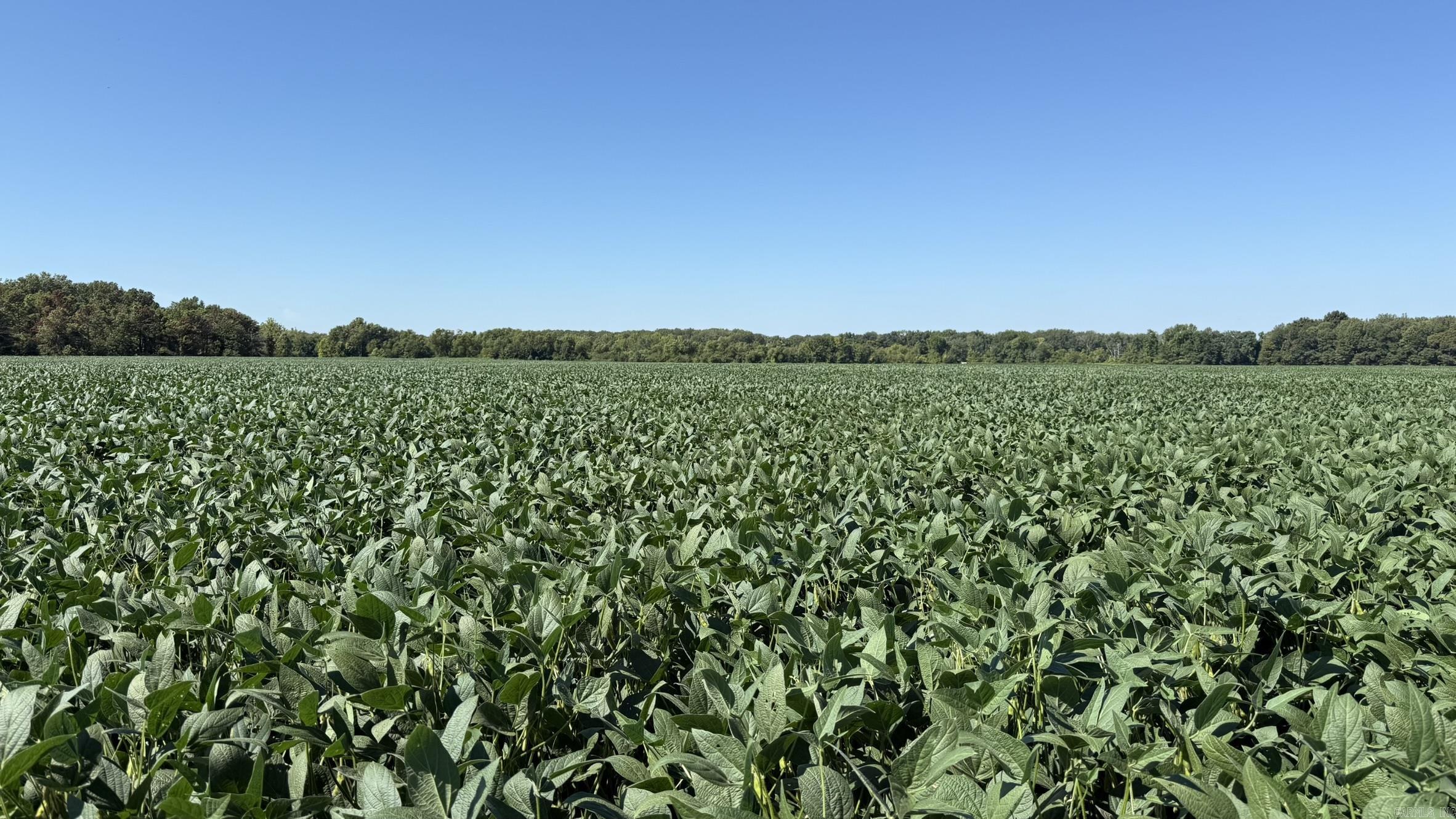 293 E Sidney Noble  DeWitt, AR