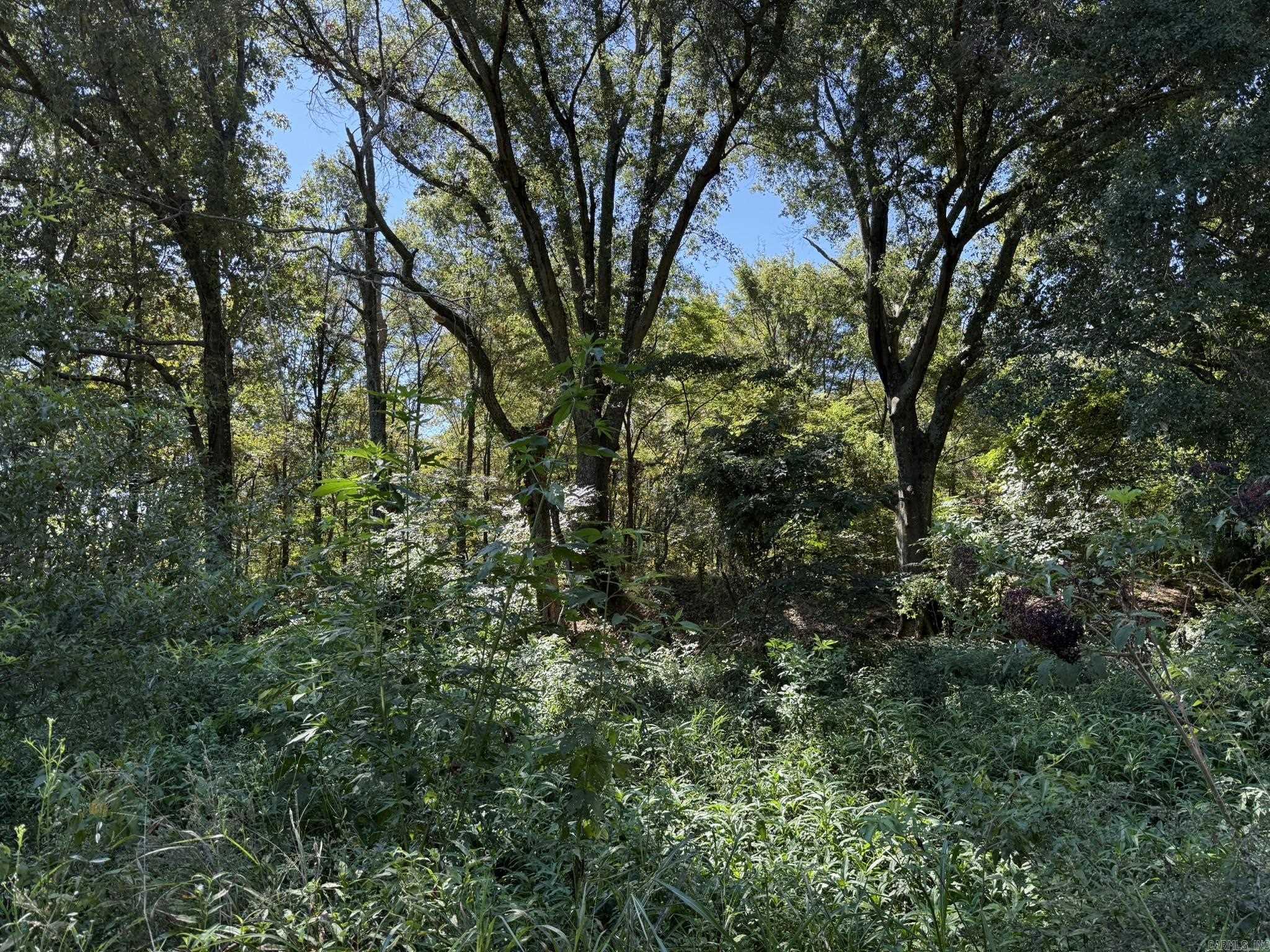 293 E Sidney Noble  DeWitt, AR