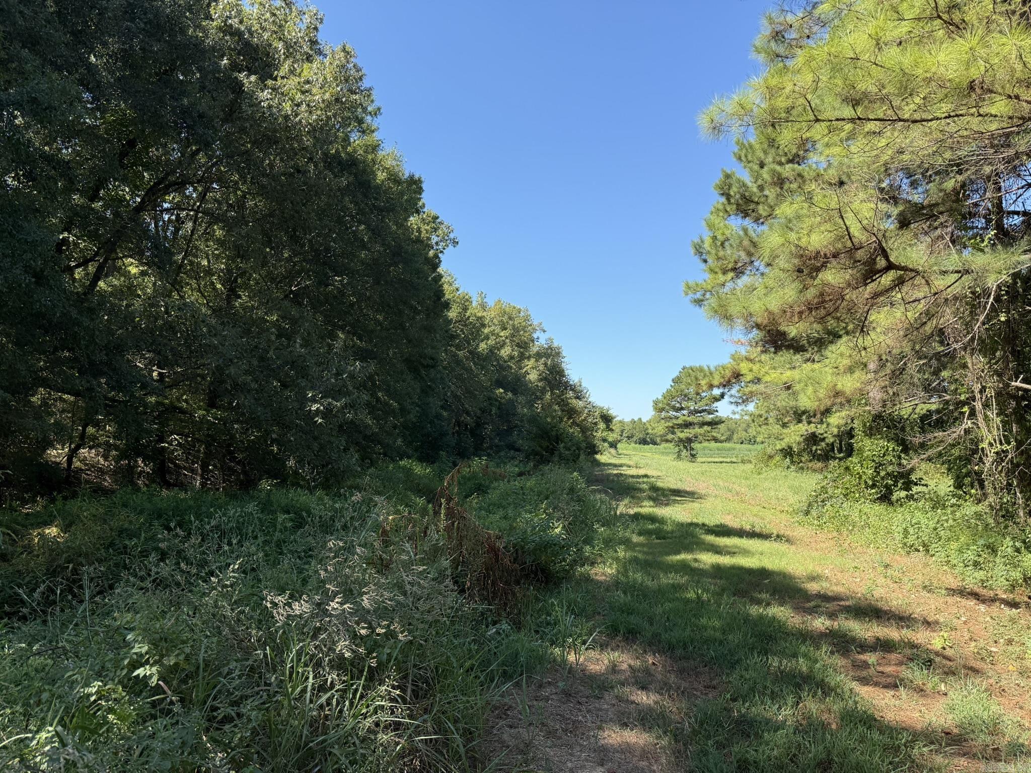 293 E Sidney Noble  DeWitt, AR