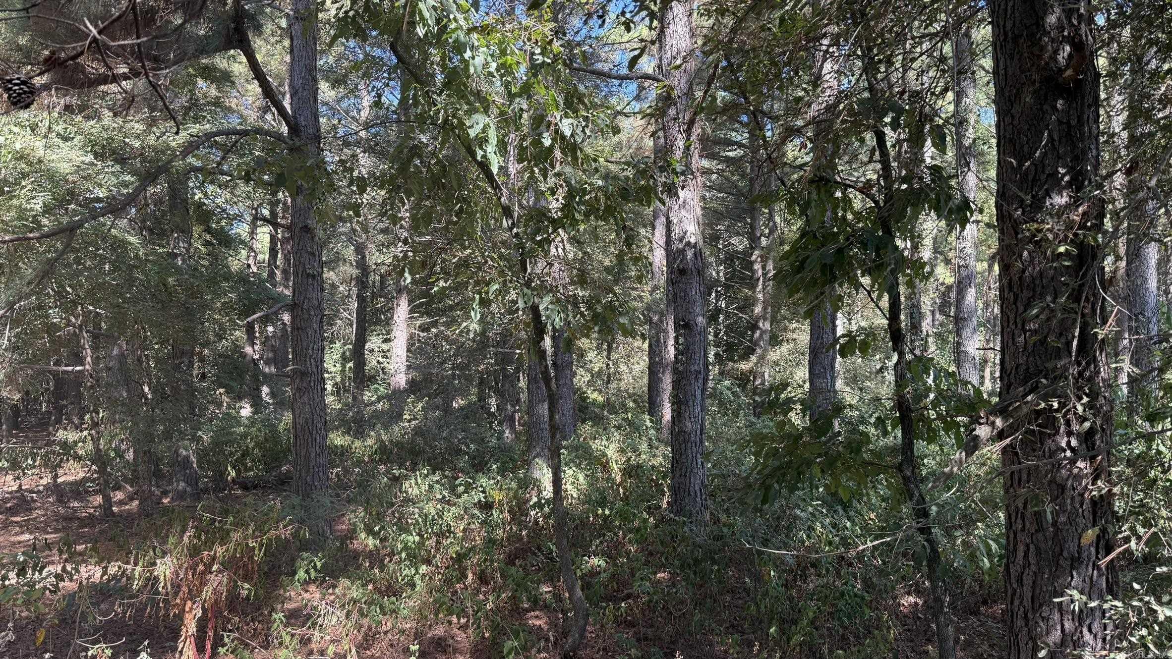 293 E Sidney Noble  DeWitt, AR