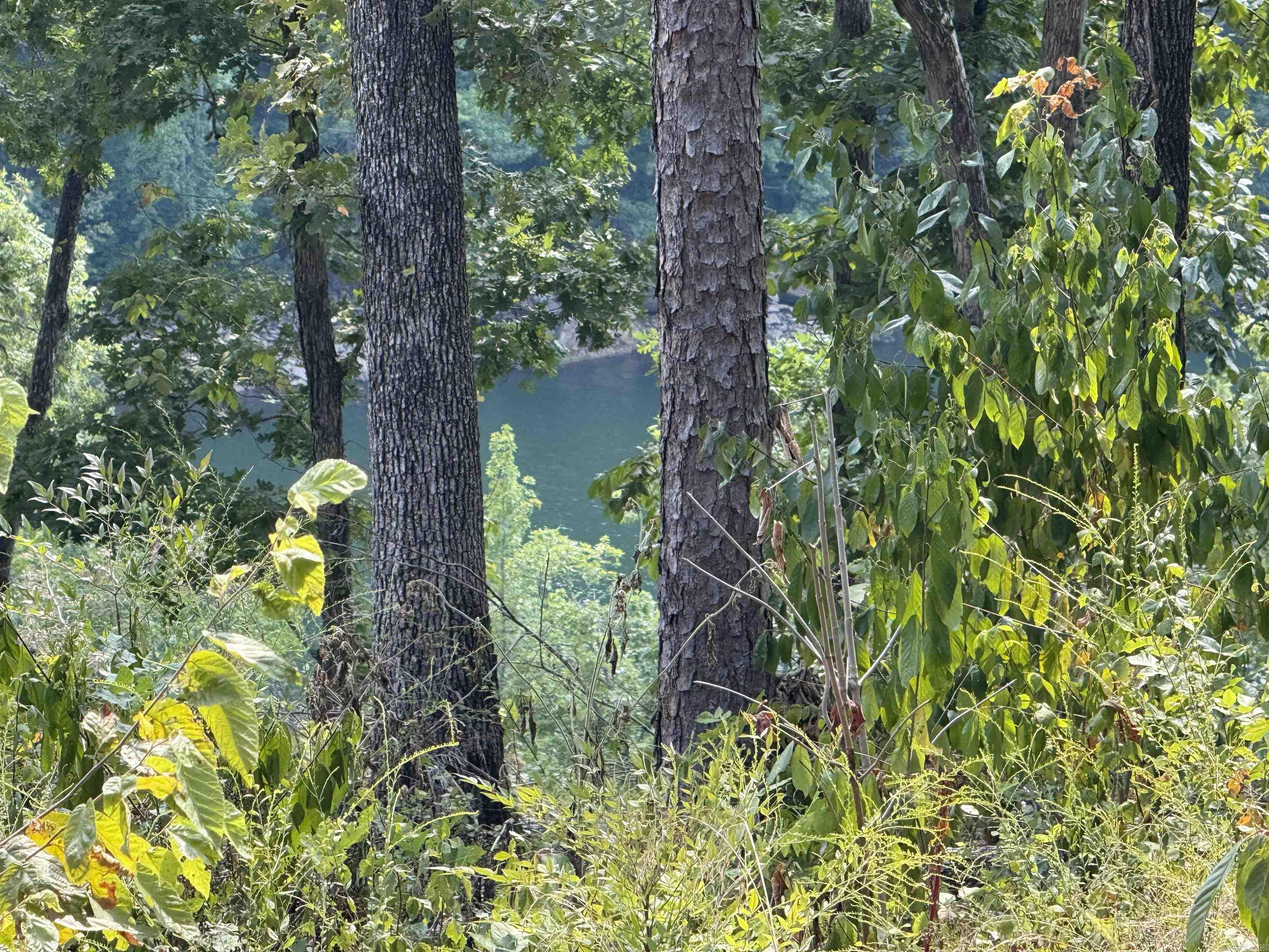 Lot 14/Block 6 Lynn Creek Dr.  Fairfield Bay, AR