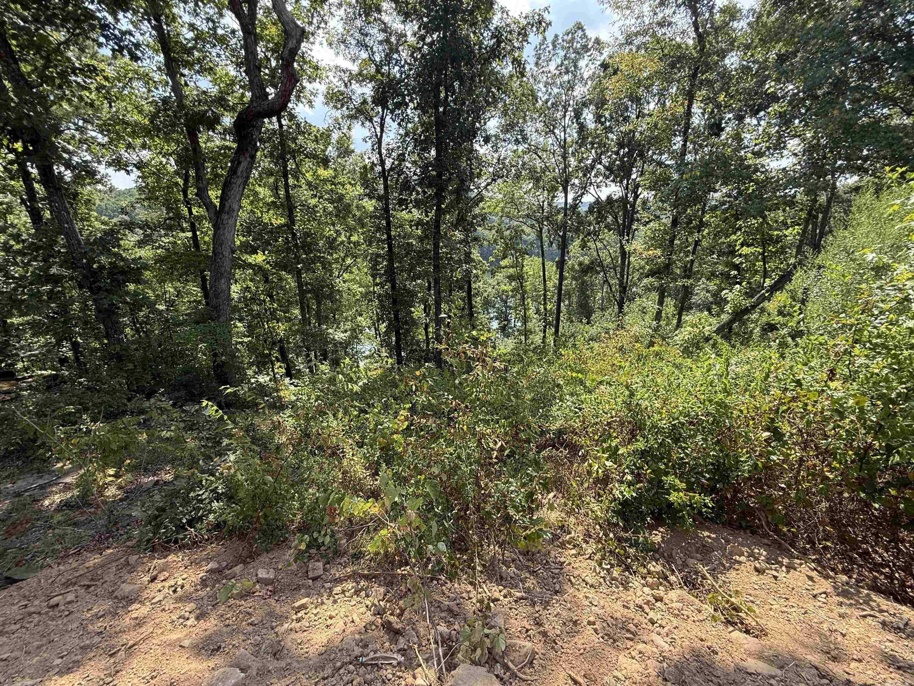 Lot 14/Block 6 Lynn Creek Dr.  Fairfield Bay, AR