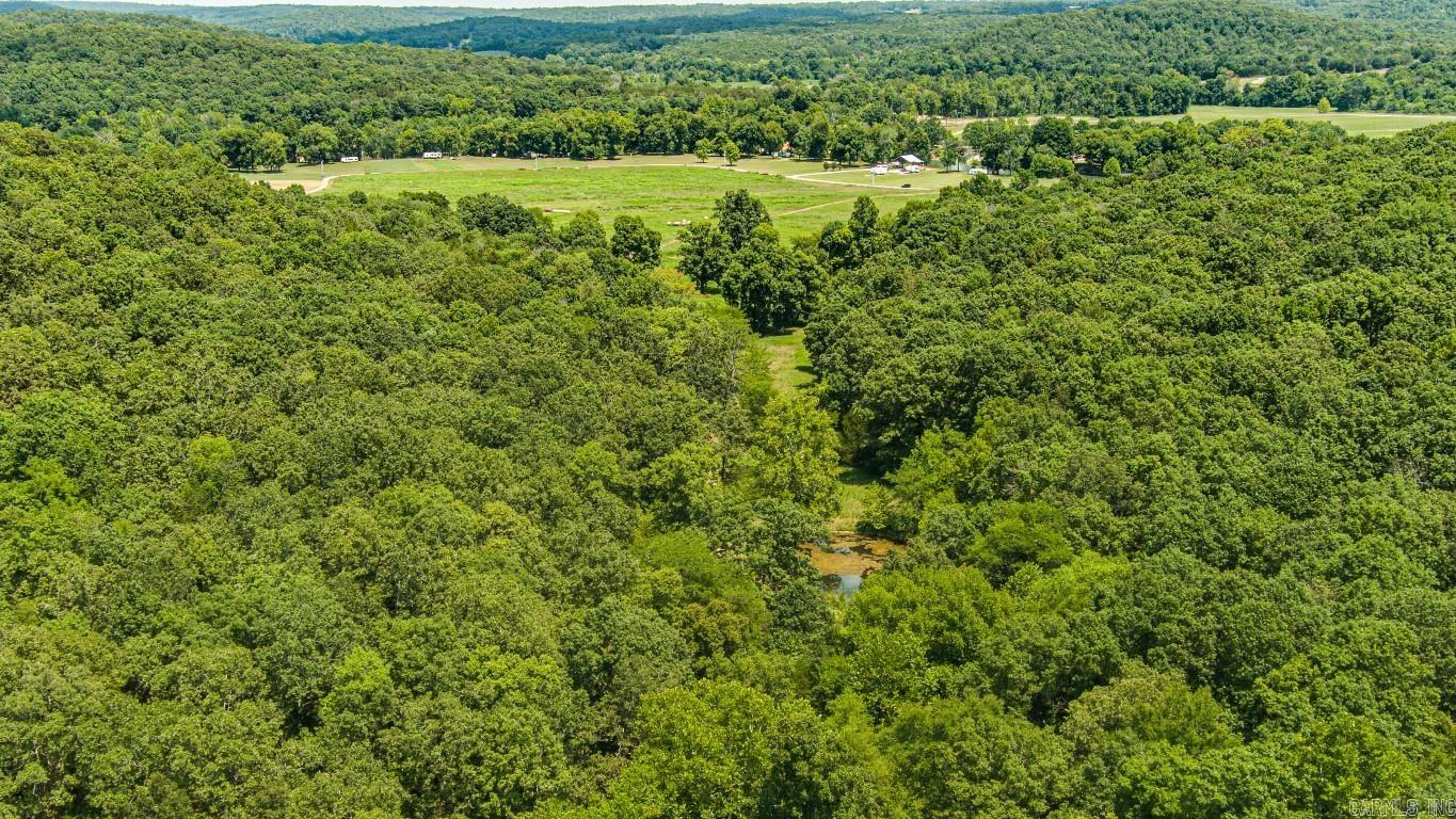 135 acres Walden  Imboden, AR