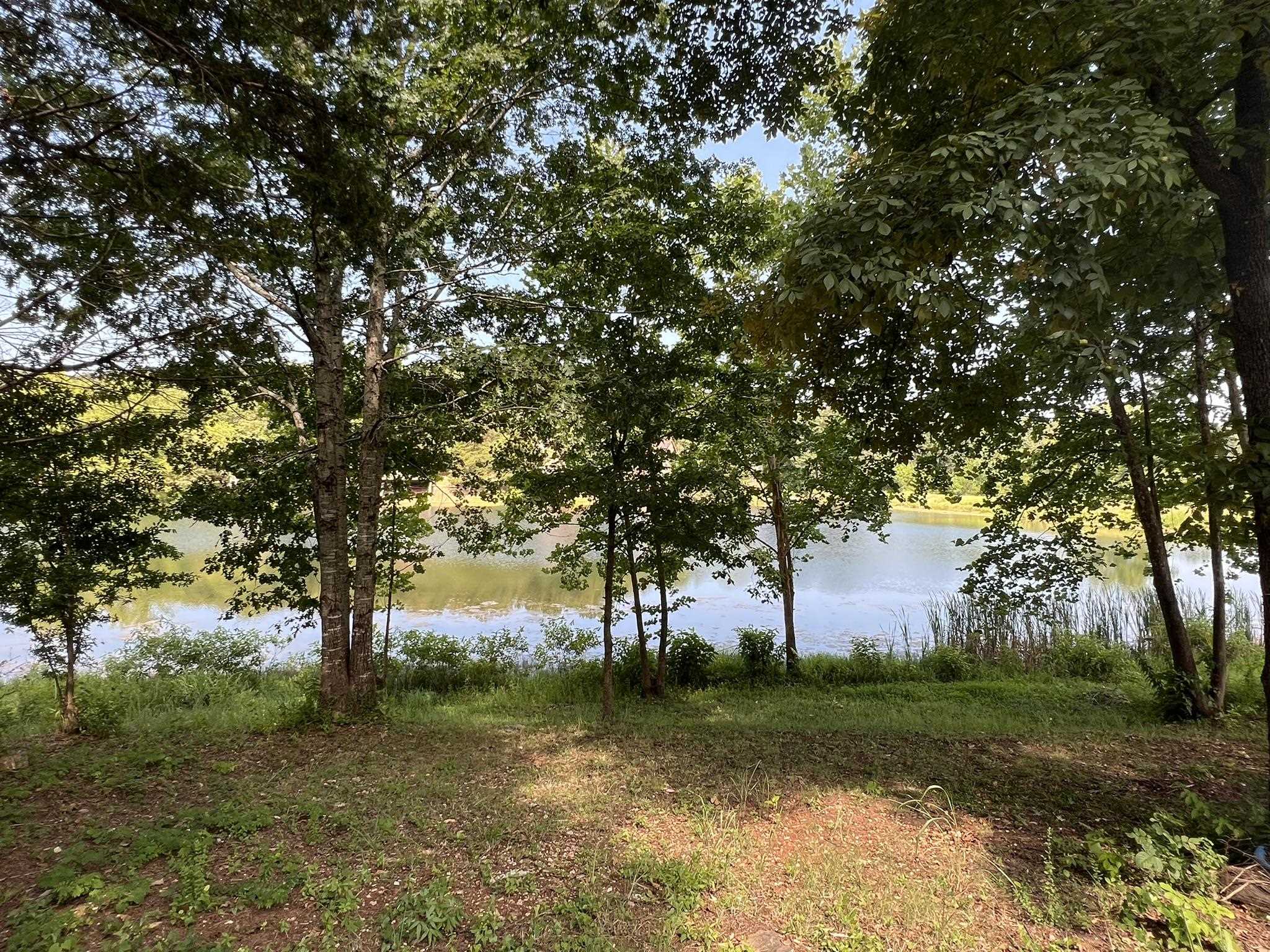 28 Kiwanie Drive  Hardy, AR