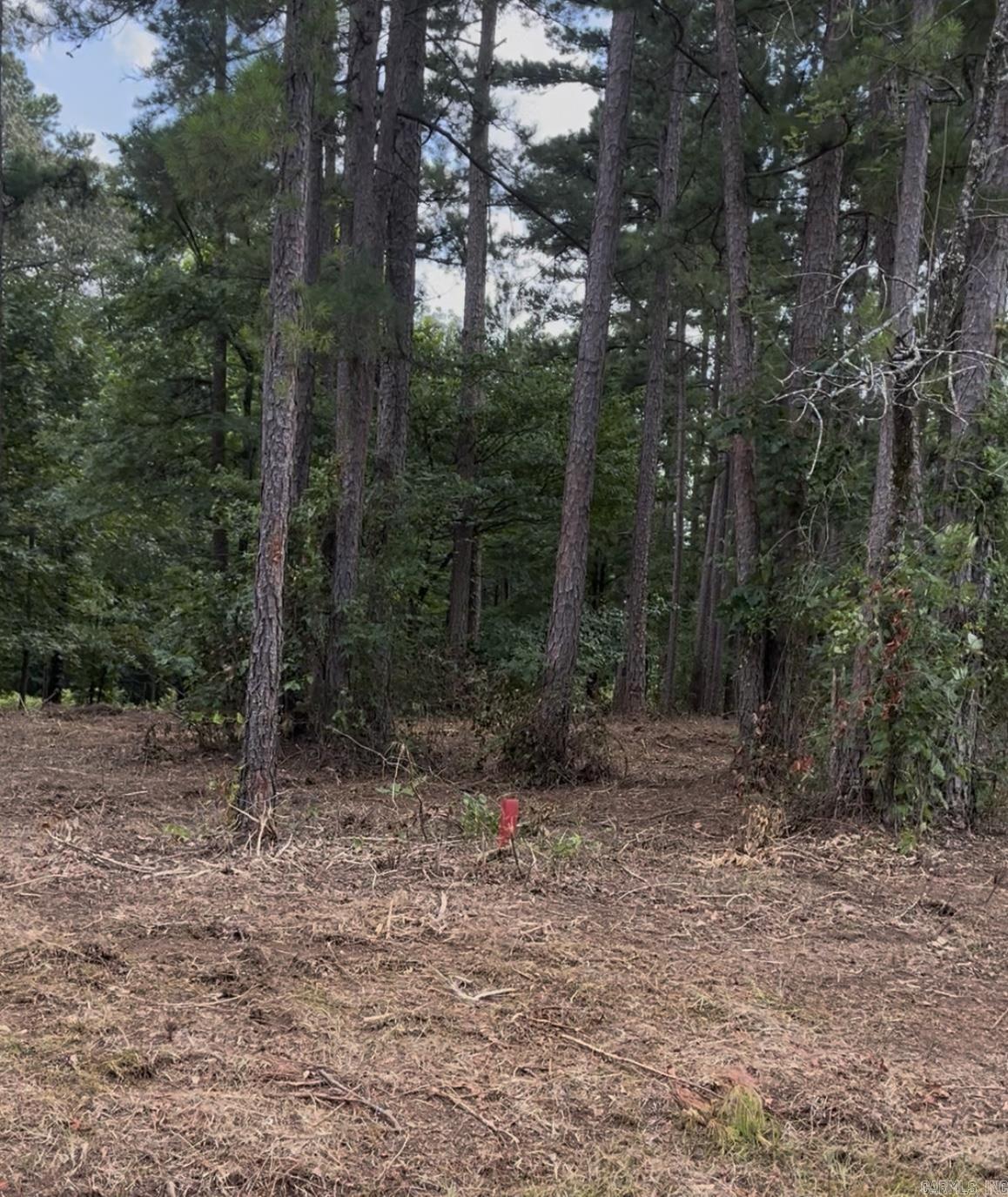 Lynch Rd. Lot 9  Clifton, AR