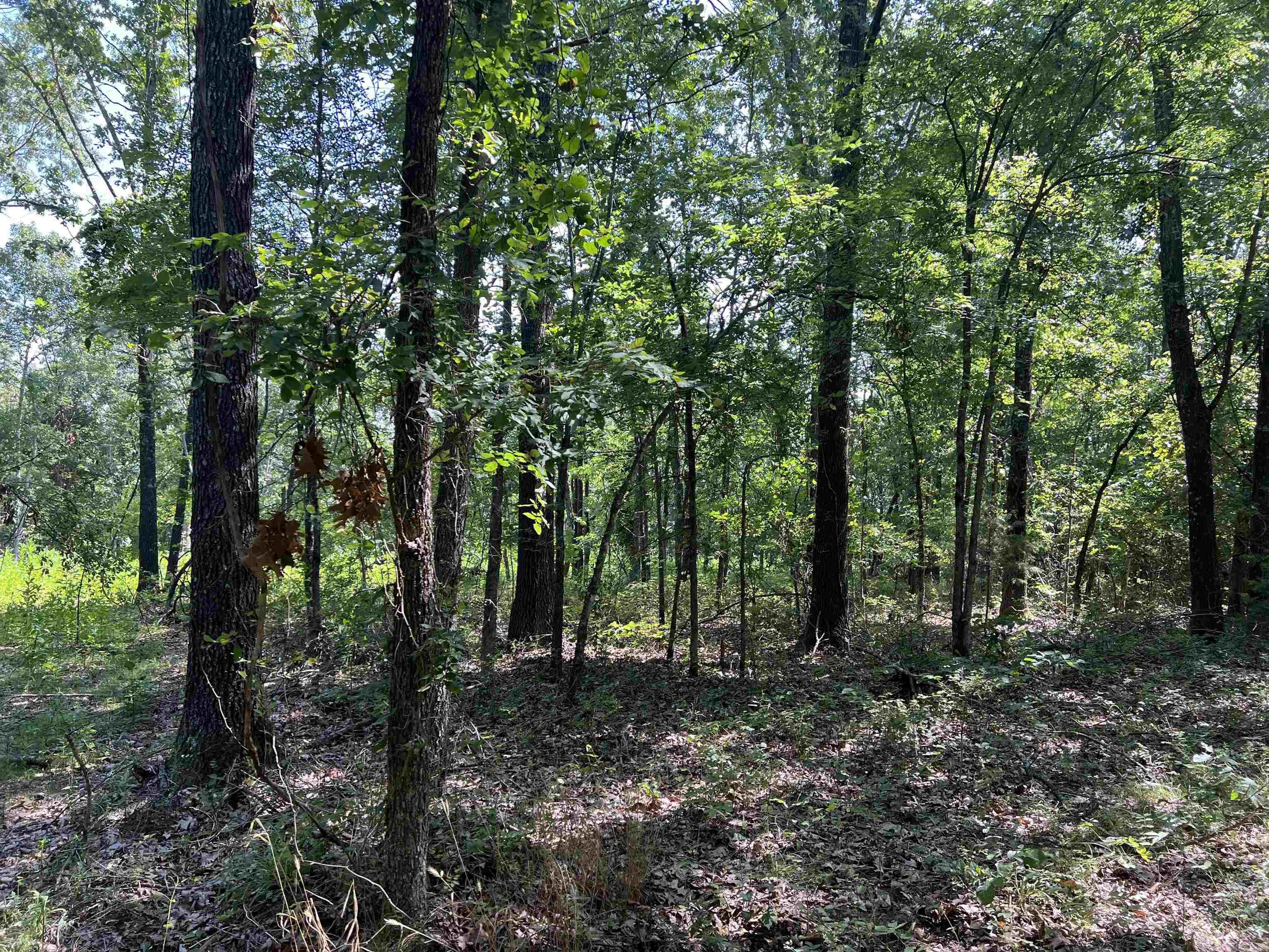 47 Cedar Creek  Harrison, AR