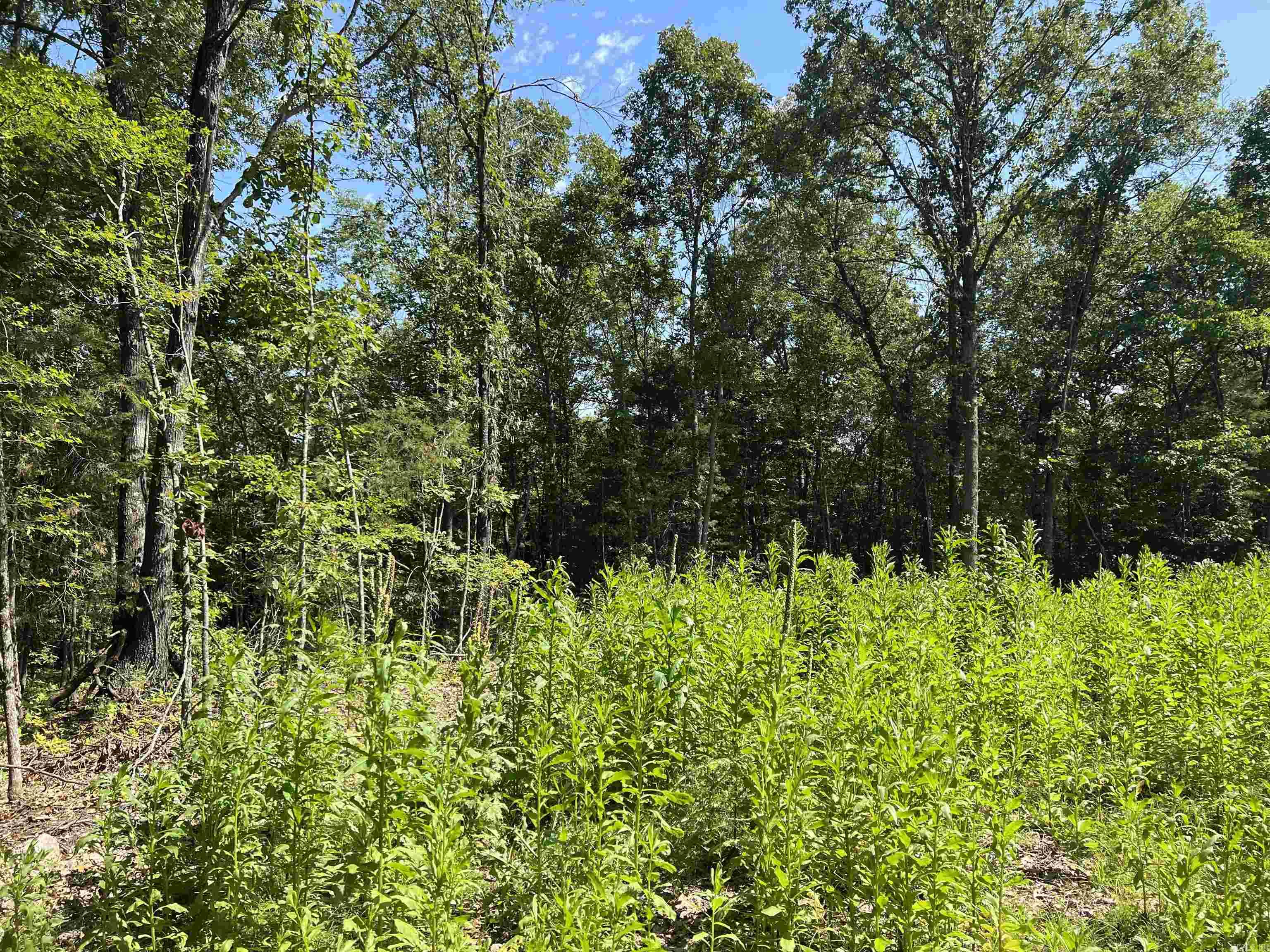 47 Cedar Creek  Harrison, AR