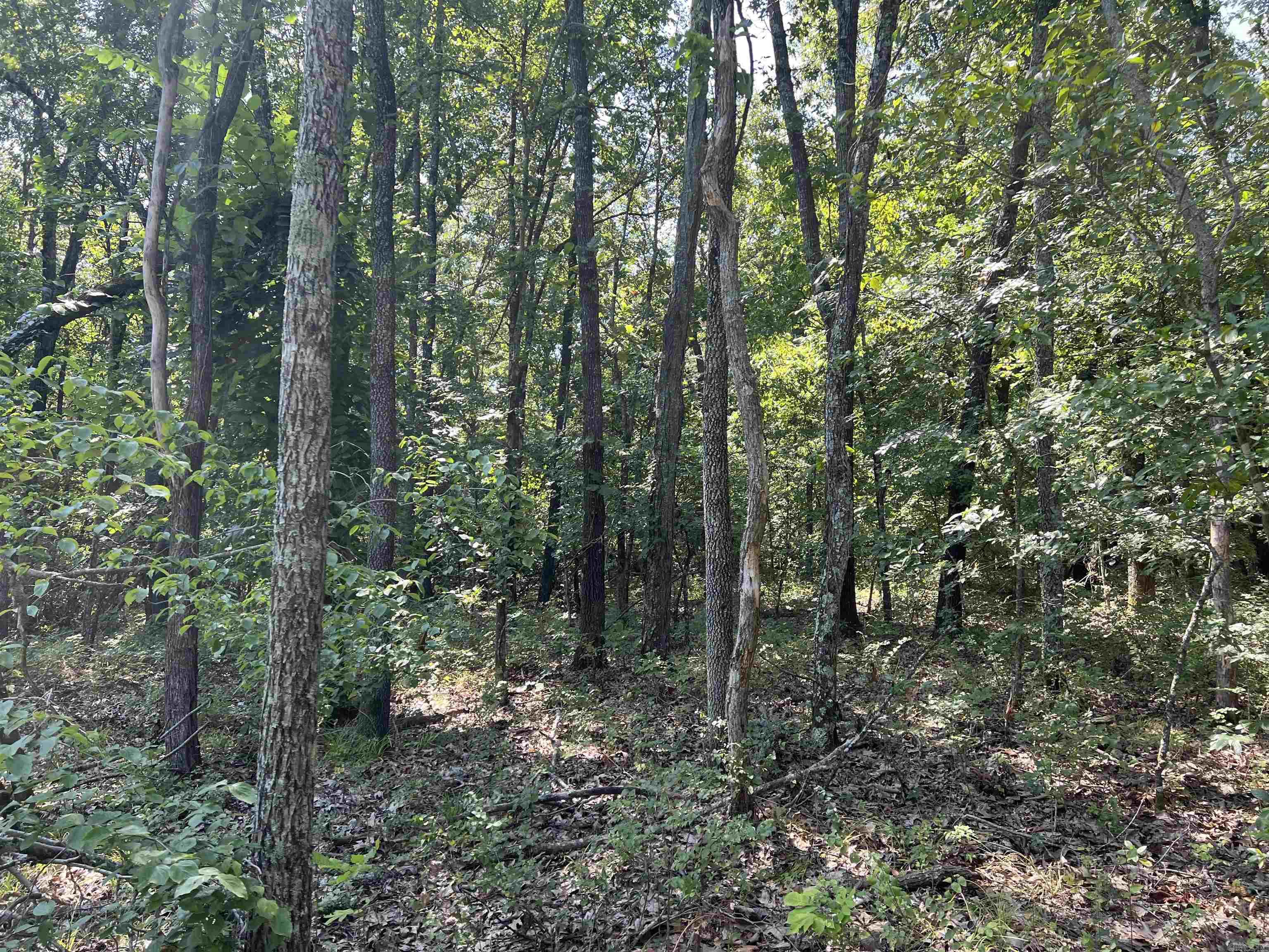 47 Cedar Creek  Harrison, AR