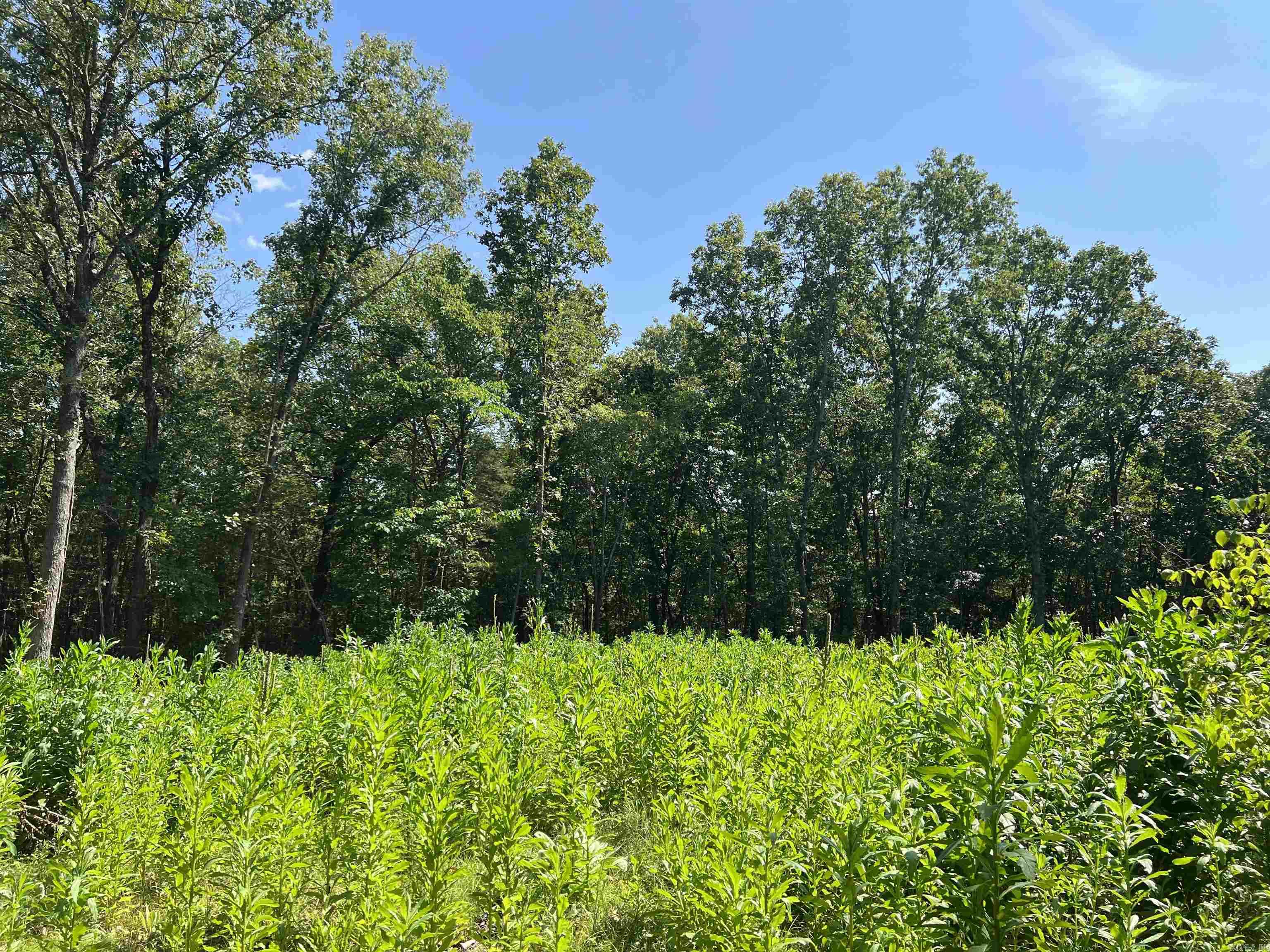 47 Cedar Creek  Harrison, AR