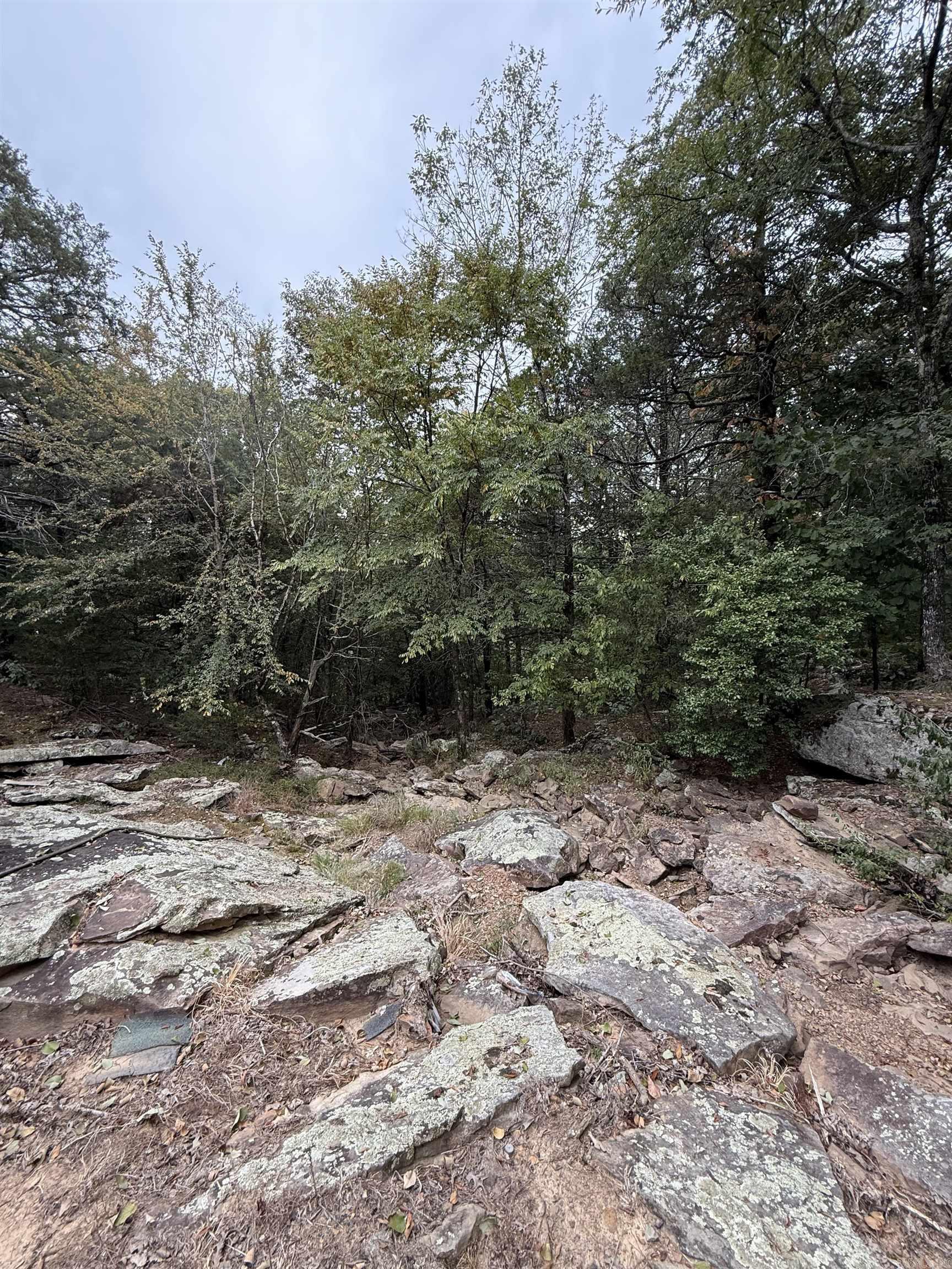 851 Creekside  Greers Ferry, AR