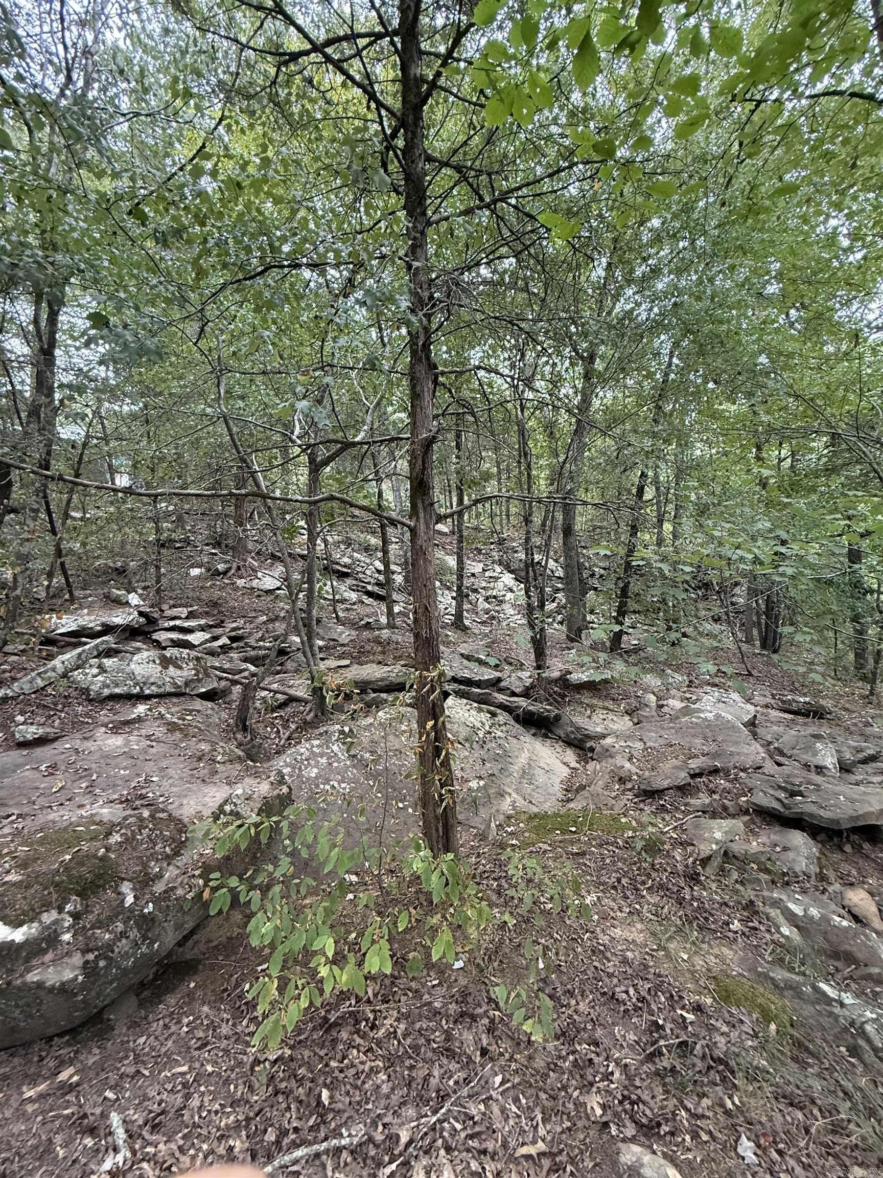 851 Creekside  Greers Ferry, AR