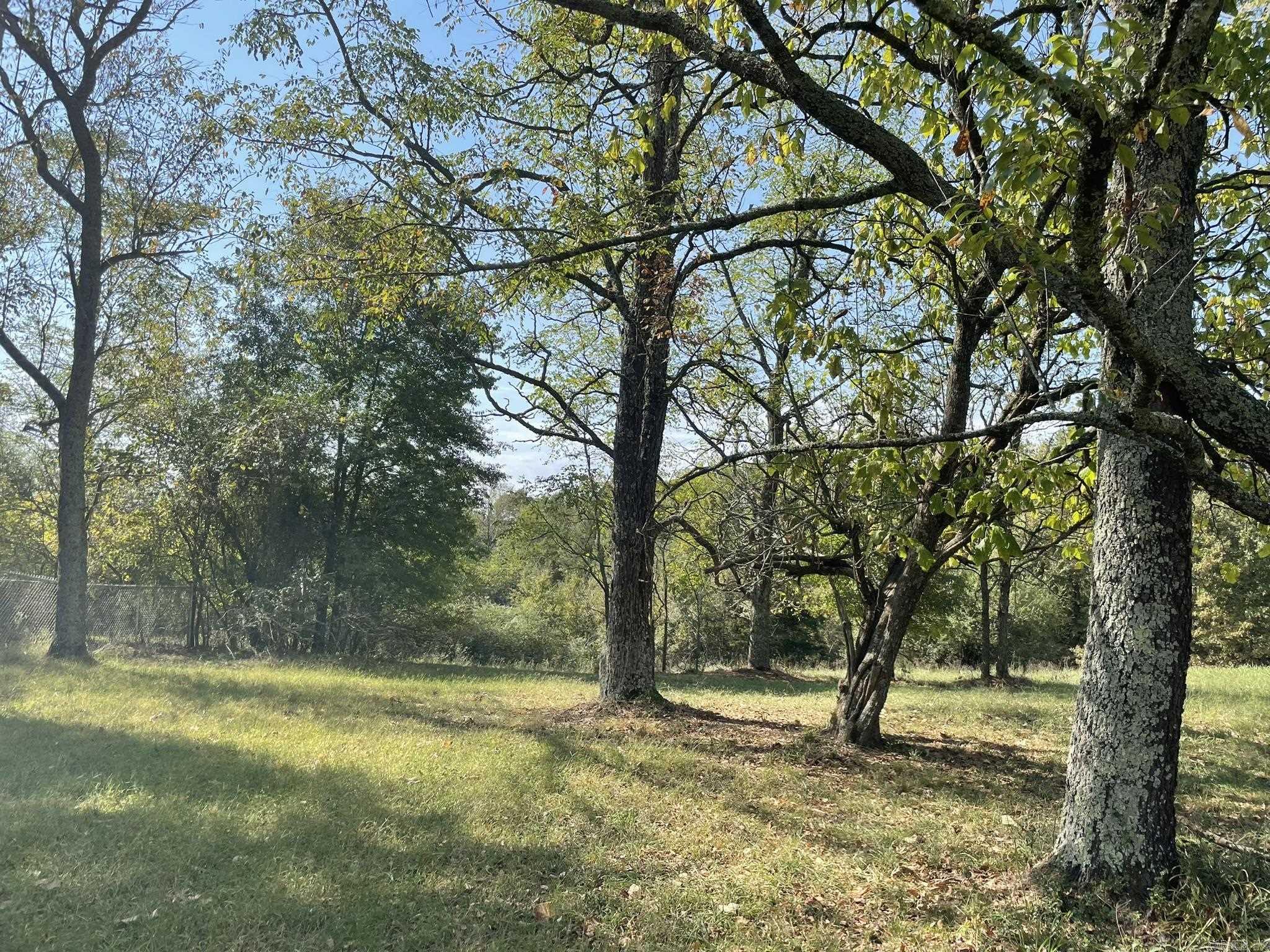 570 Polk Rd 31  Hatfield, AR
