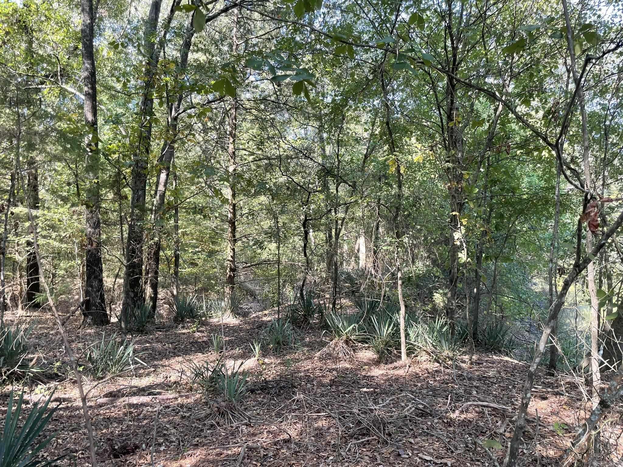 570 Polk Rd 31  Hatfield, AR
