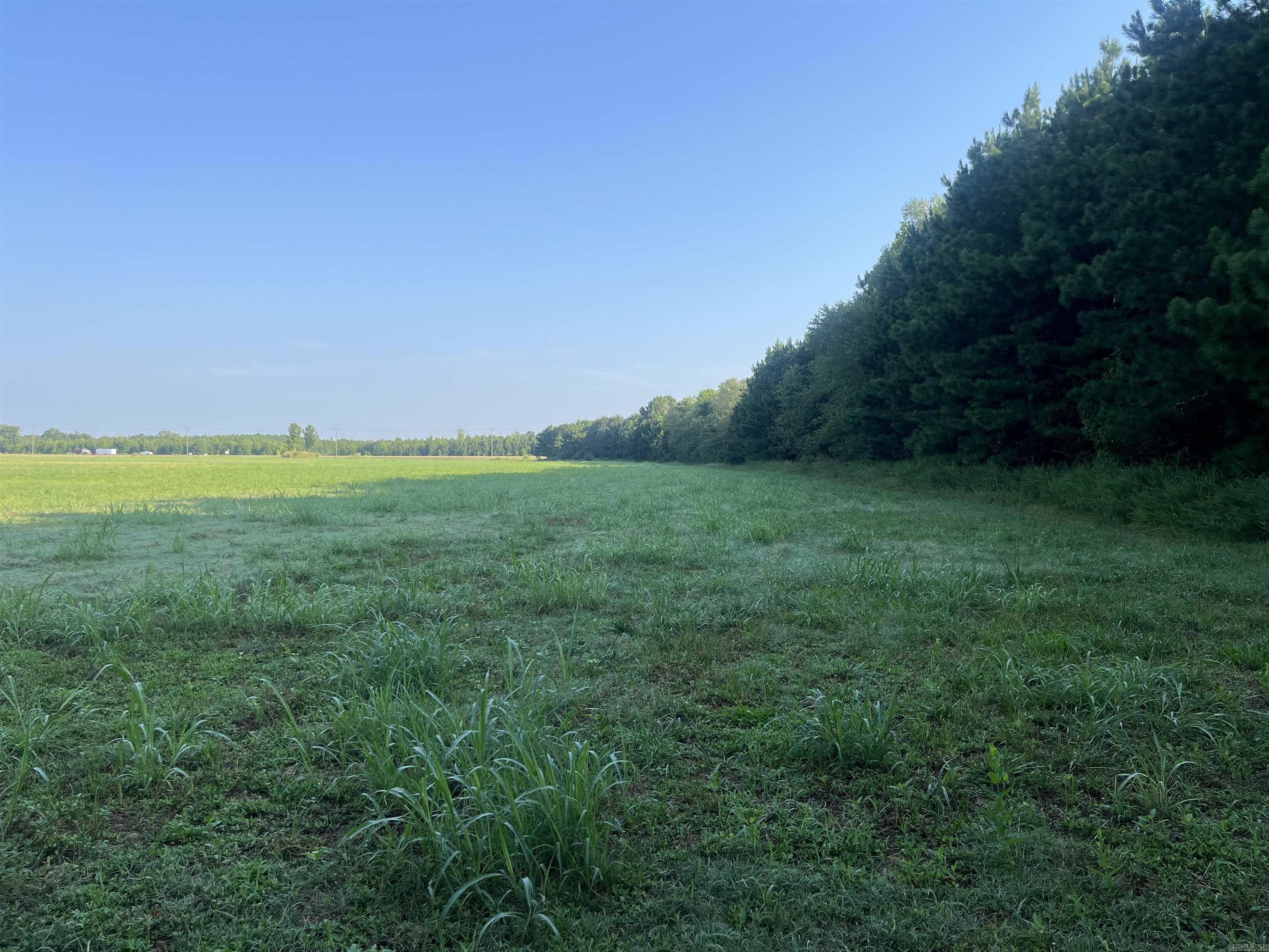 101 John Smith  Beebe, AR