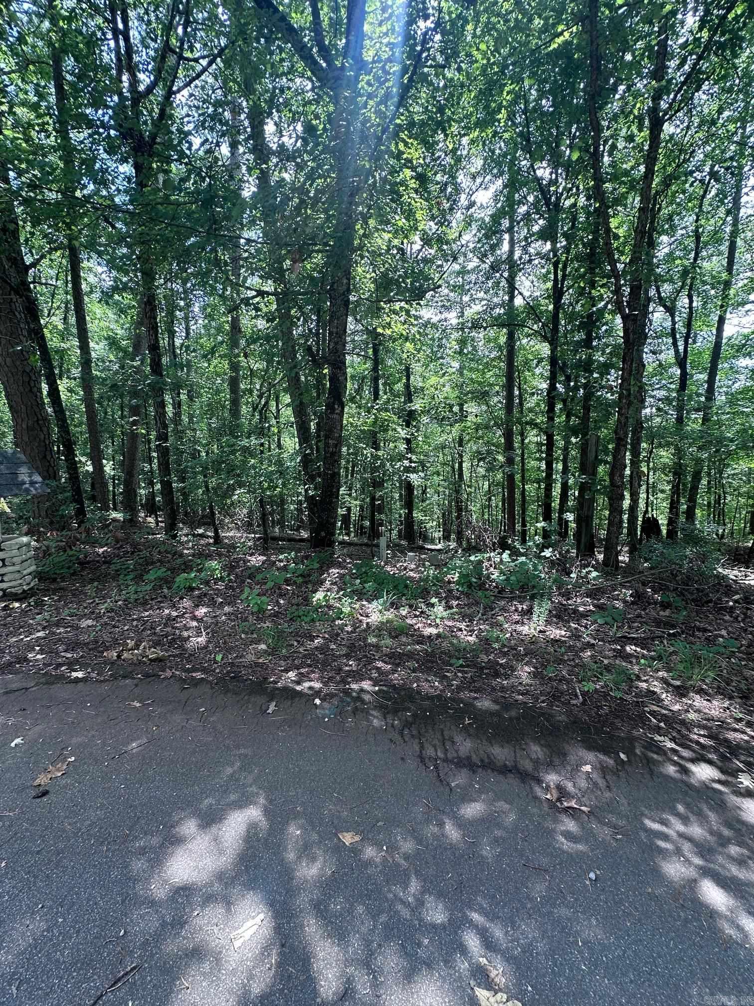 34 & 37 Almendra Ln  Hot Springs Village, AR