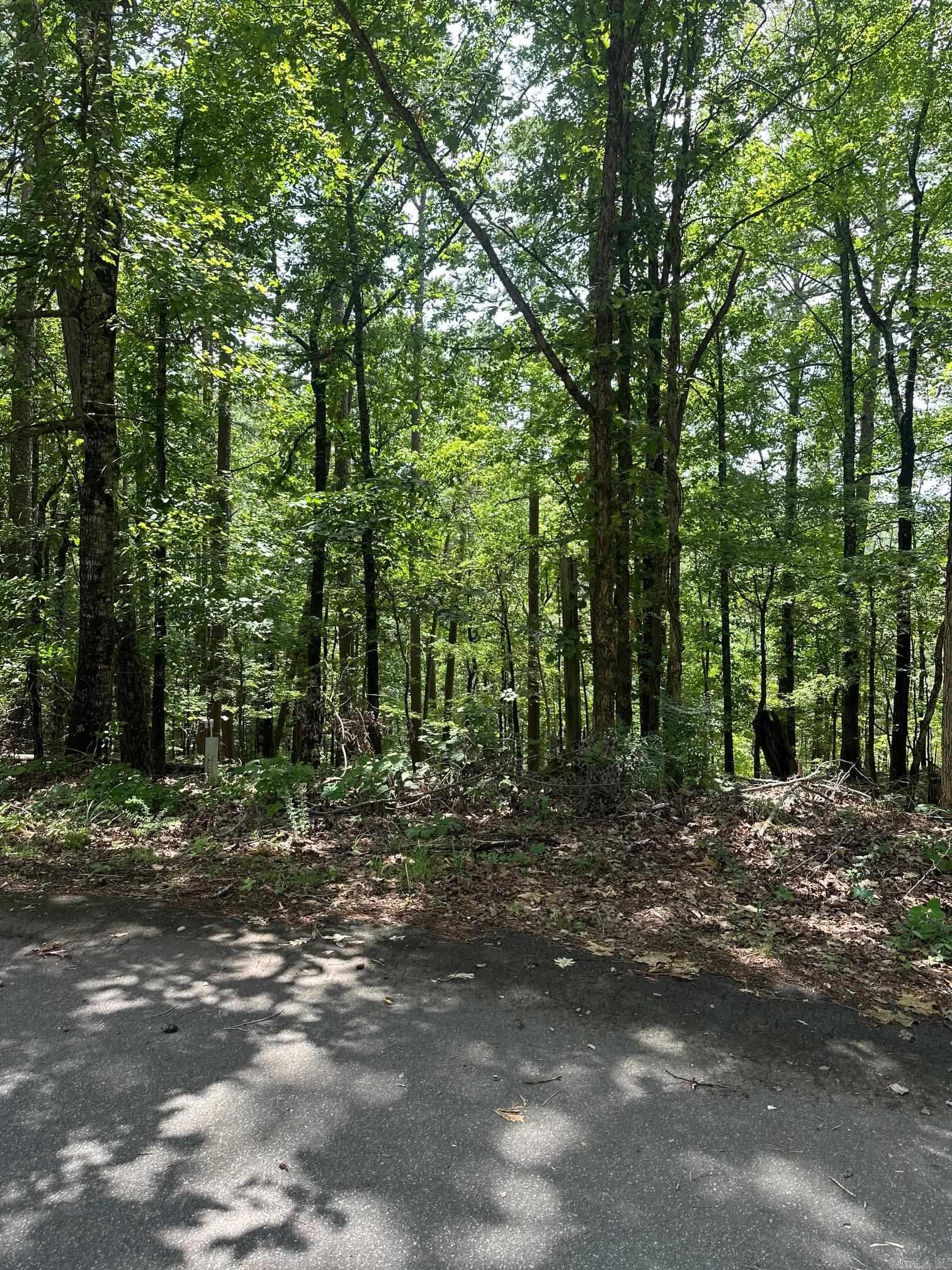34 & 37 Almendra Ln  Hot Springs Village, AR