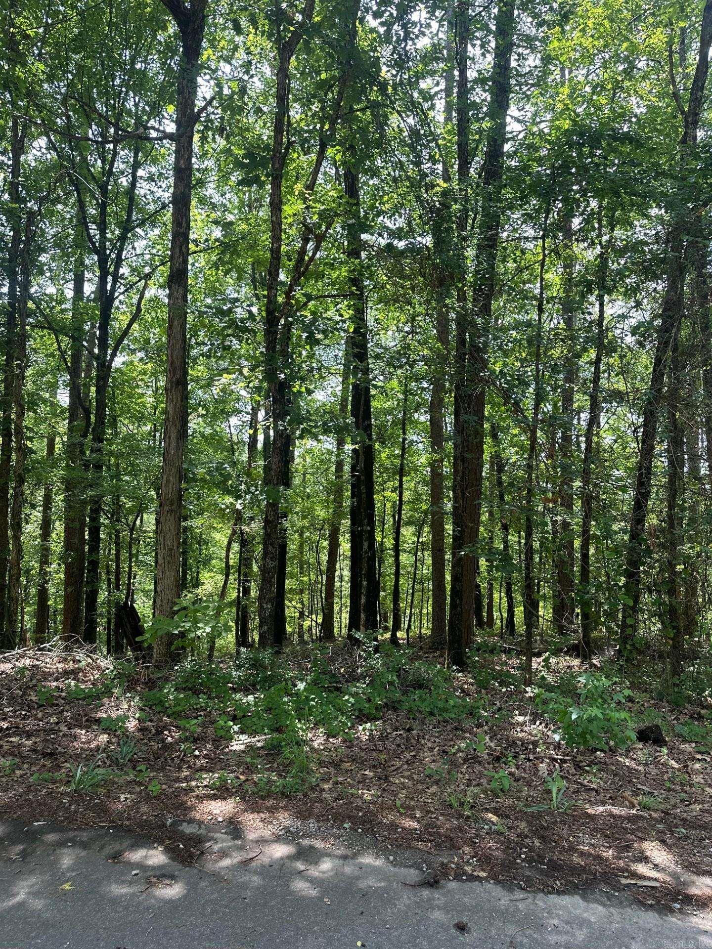 34 & 37 Almendra Ln  Hot Springs Village, AR