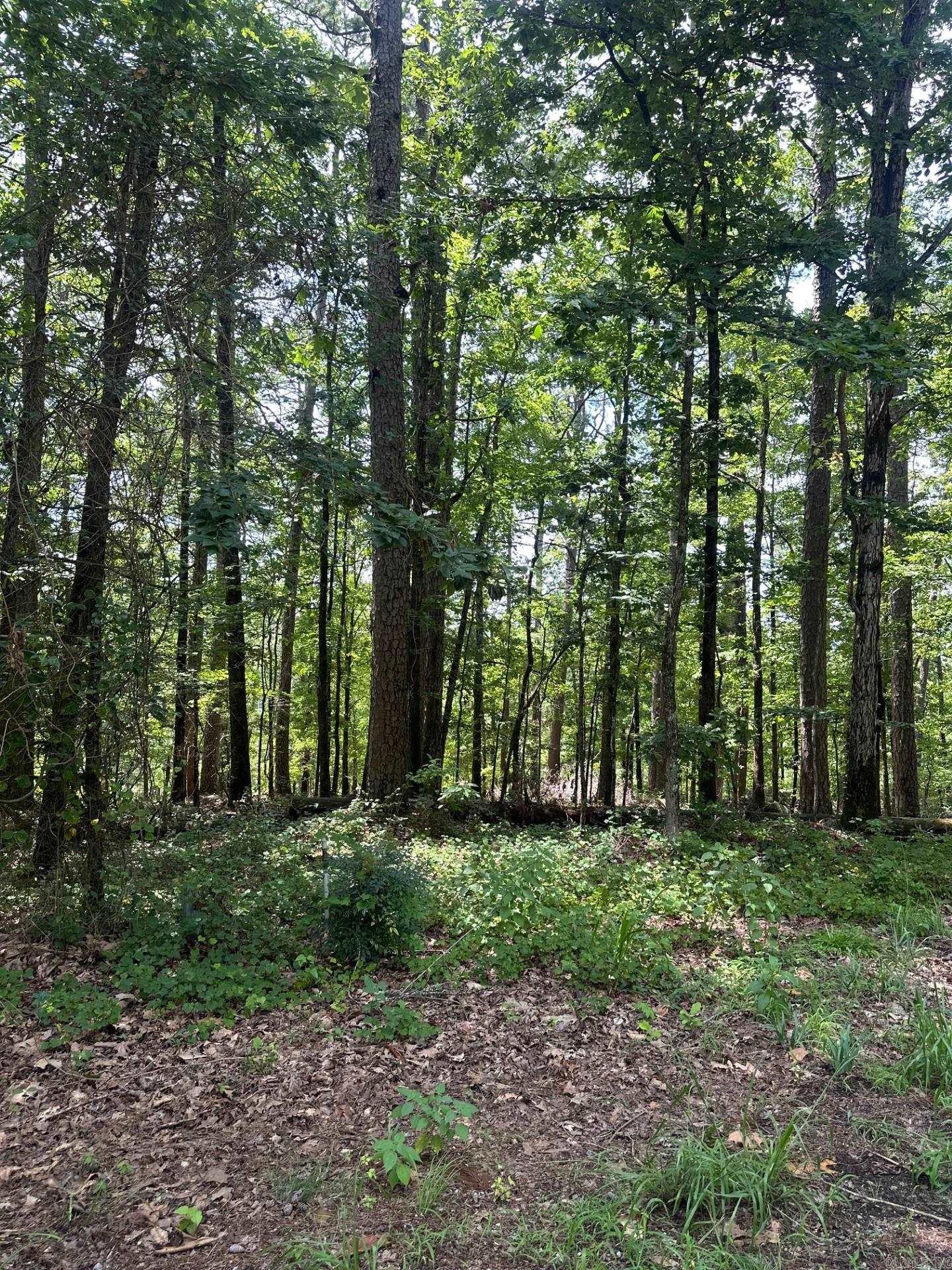 34 & 37 Almendra Ln  Hot Springs Village, AR