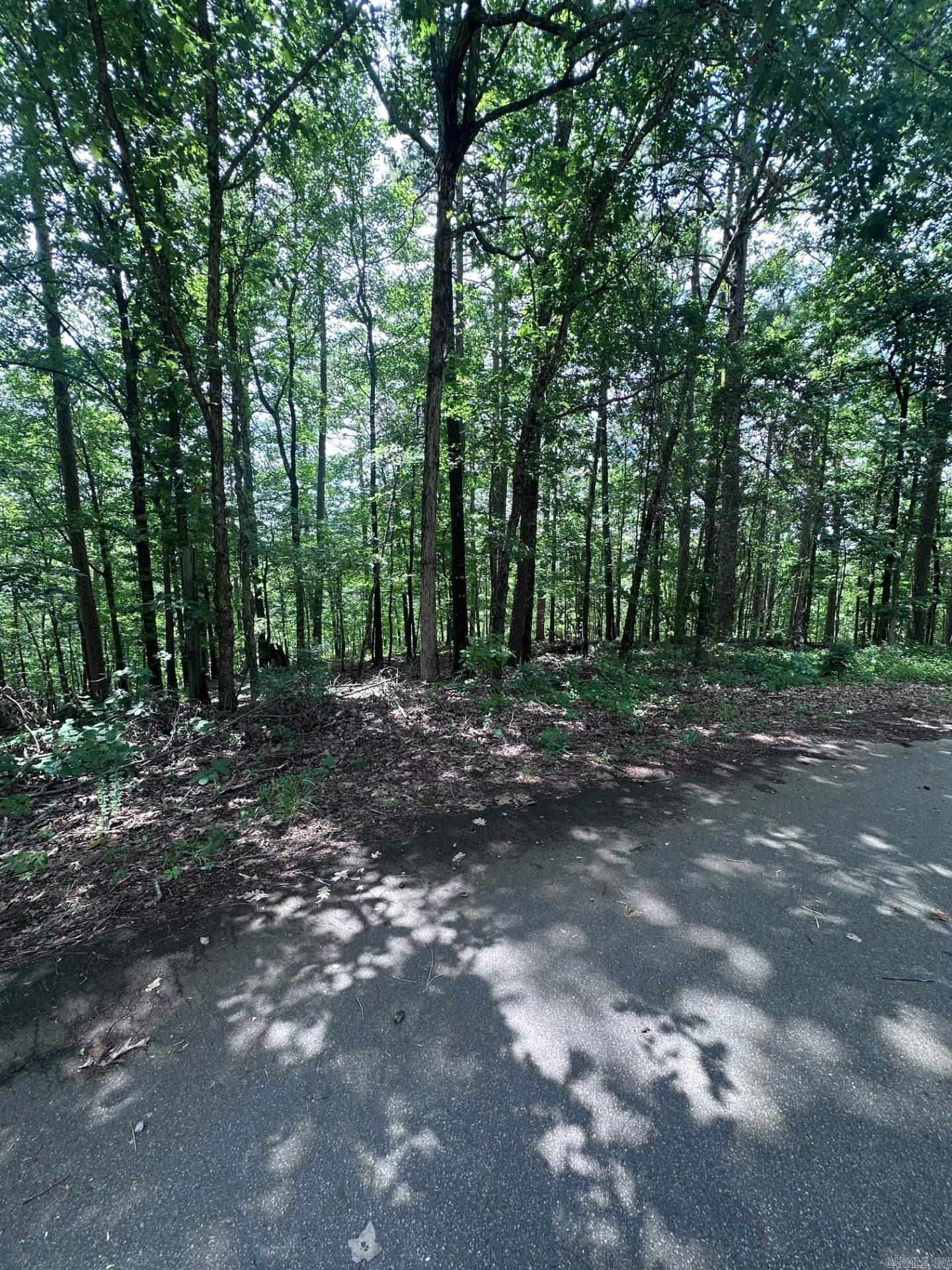 34 & 37 Almendra Ln  Hot Springs Village, AR