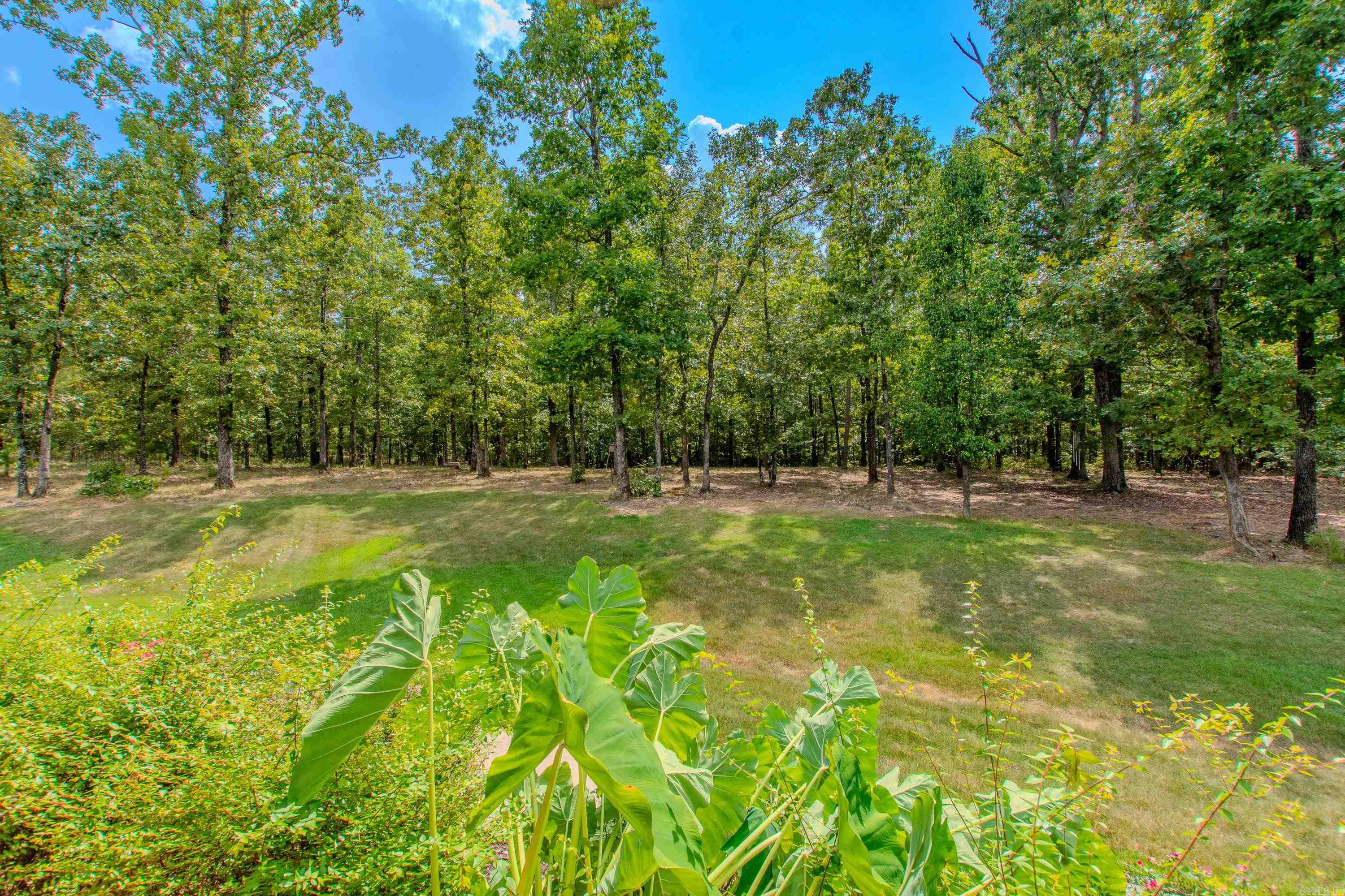 14800 Wild Oak Lane Roland, AR 72135