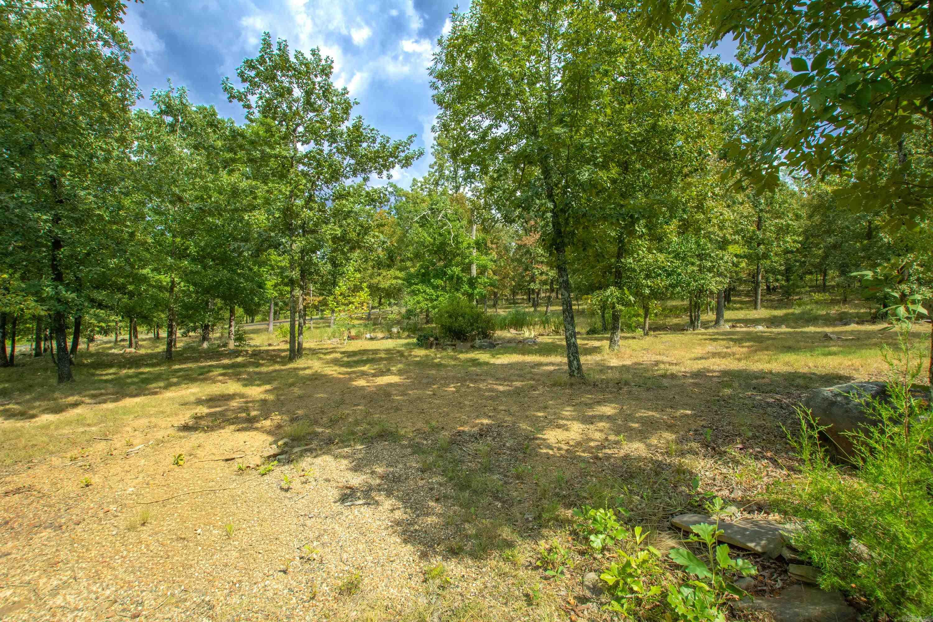 14800 Wild Oak Lane Roland, AR 72135