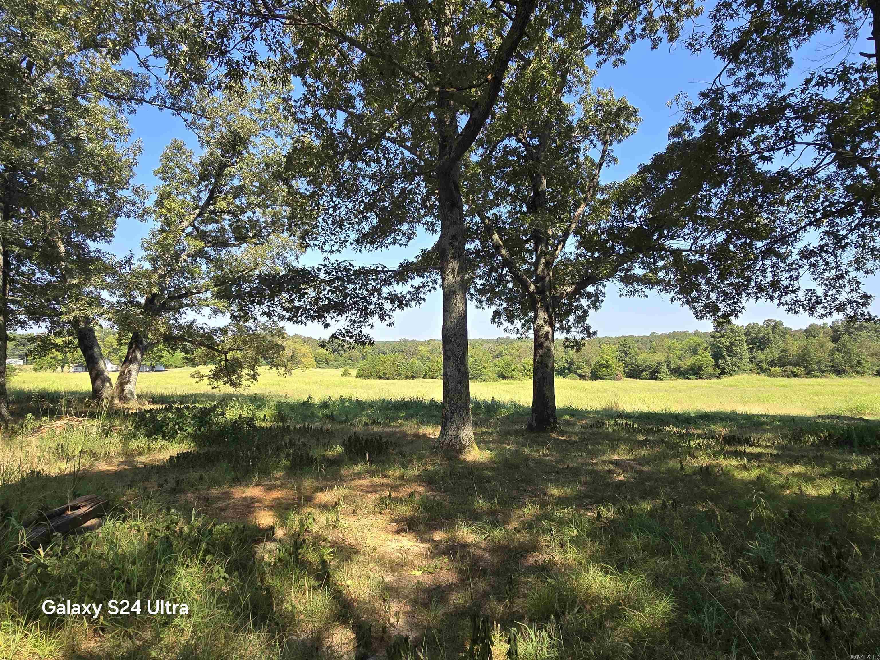101 Summer Meadows  Mountain View, AR