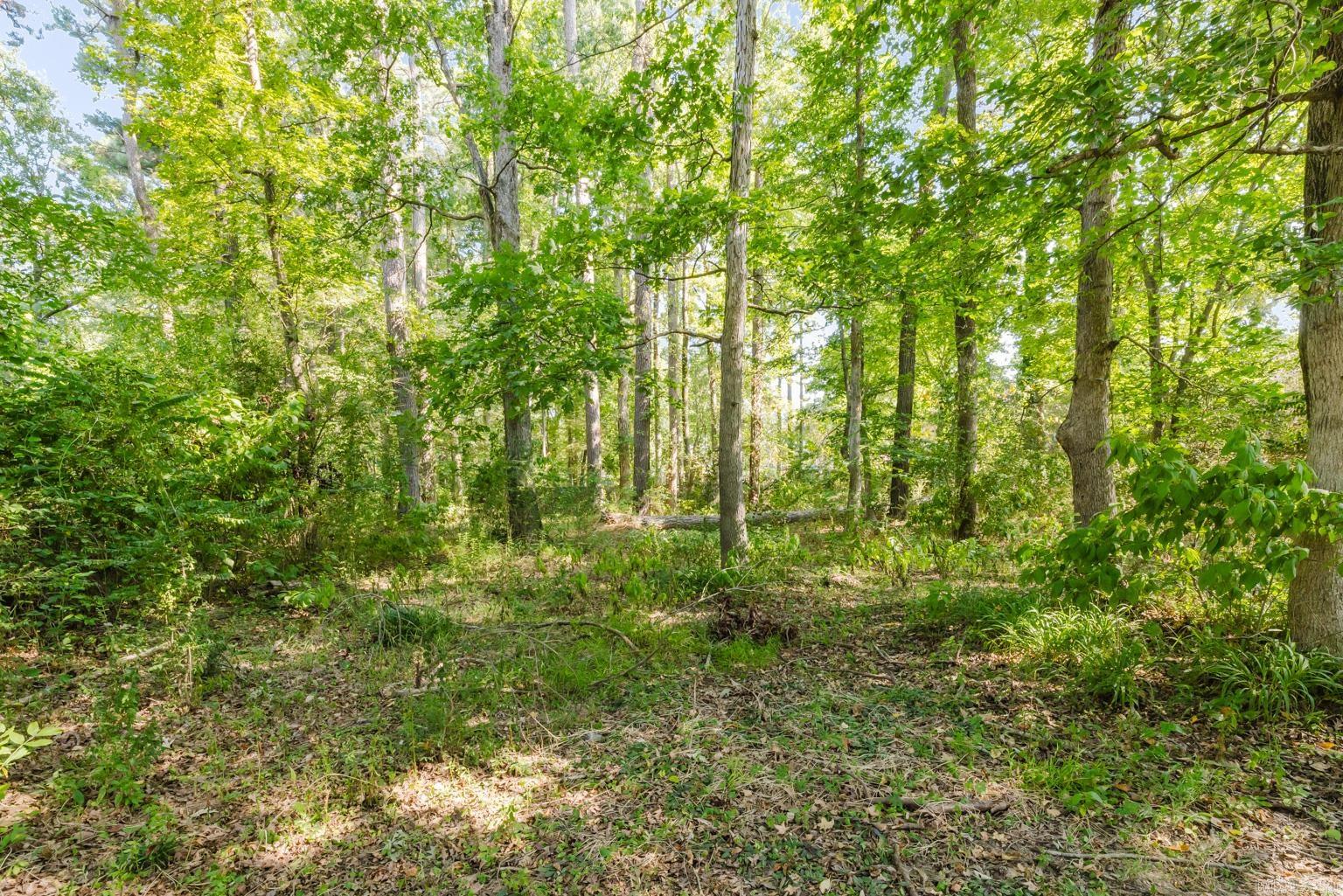 1008 S Richardson Place  Bryant, AR