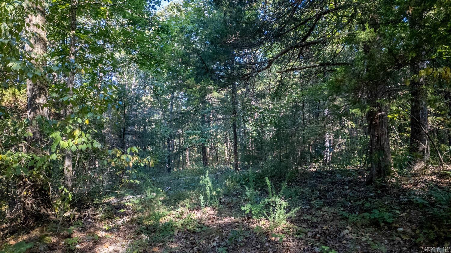 000 Calhan Circle  Clarkridge, AR