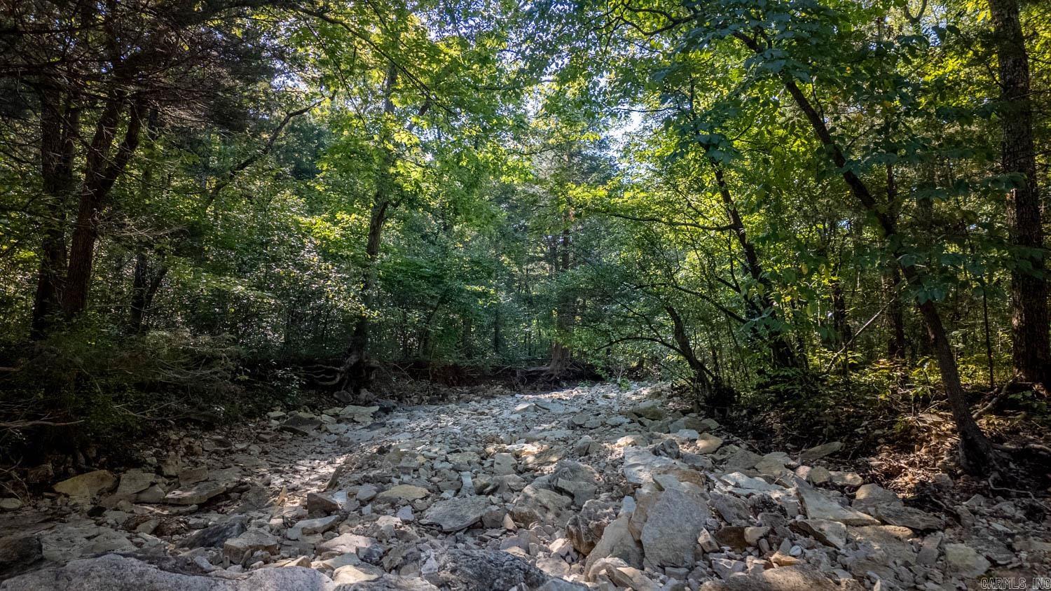 000 Calhan Circle  Clarkridge, AR